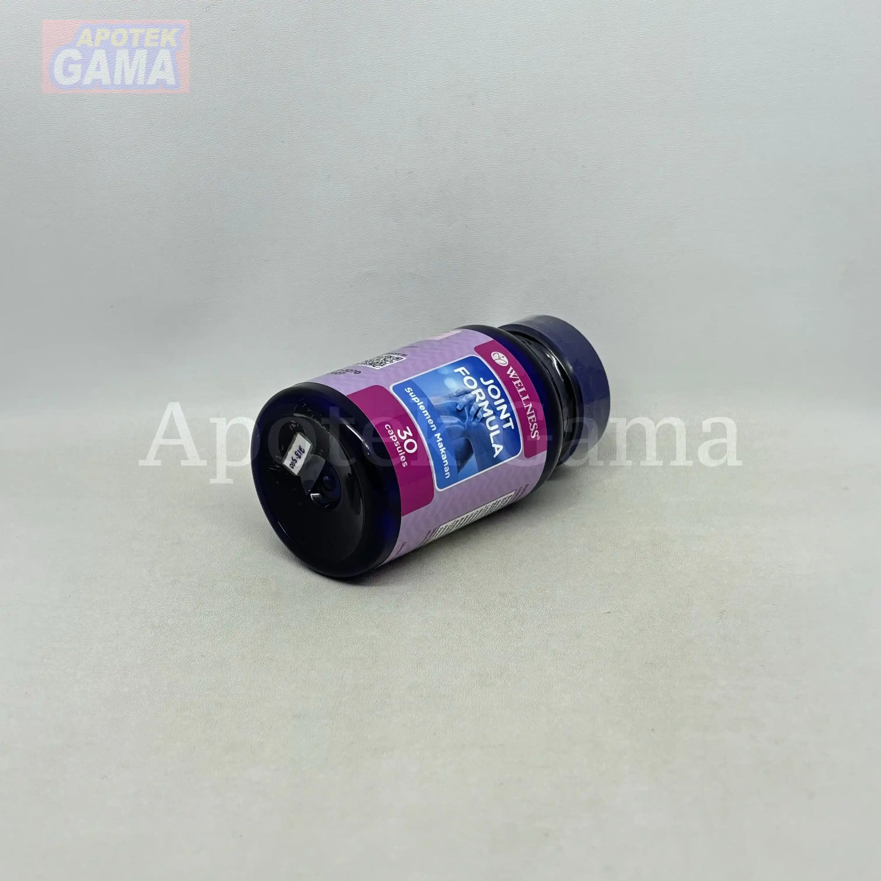 WELLNESS JOINT FORMULA 30S 4