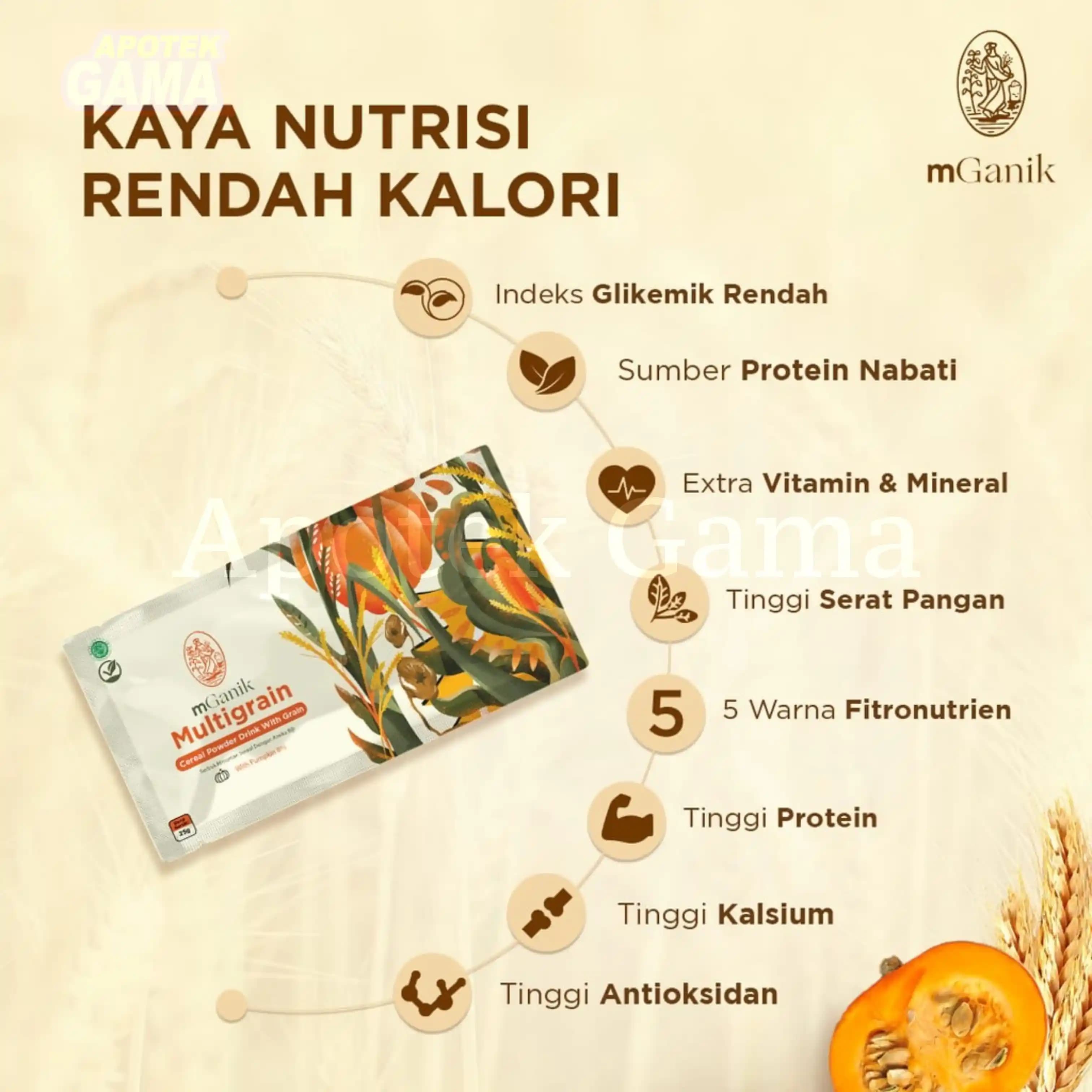 MGANIK MULTIGRAIN PUMPKIN 500GR