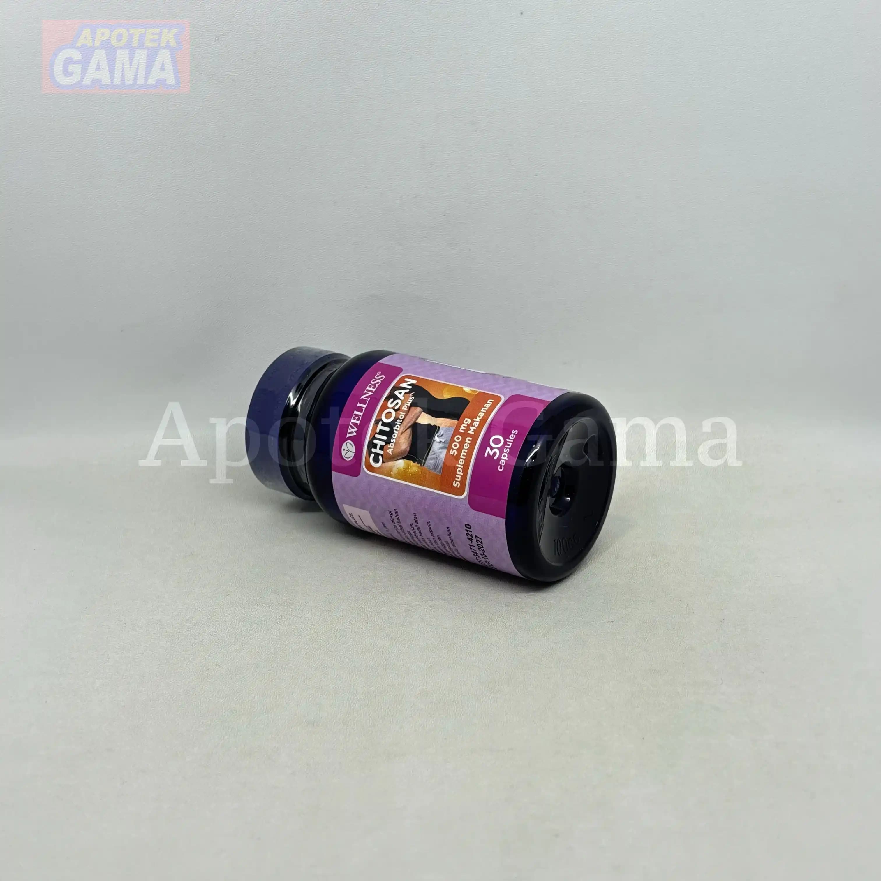 WELLNESS CHITOSAN 30S 2