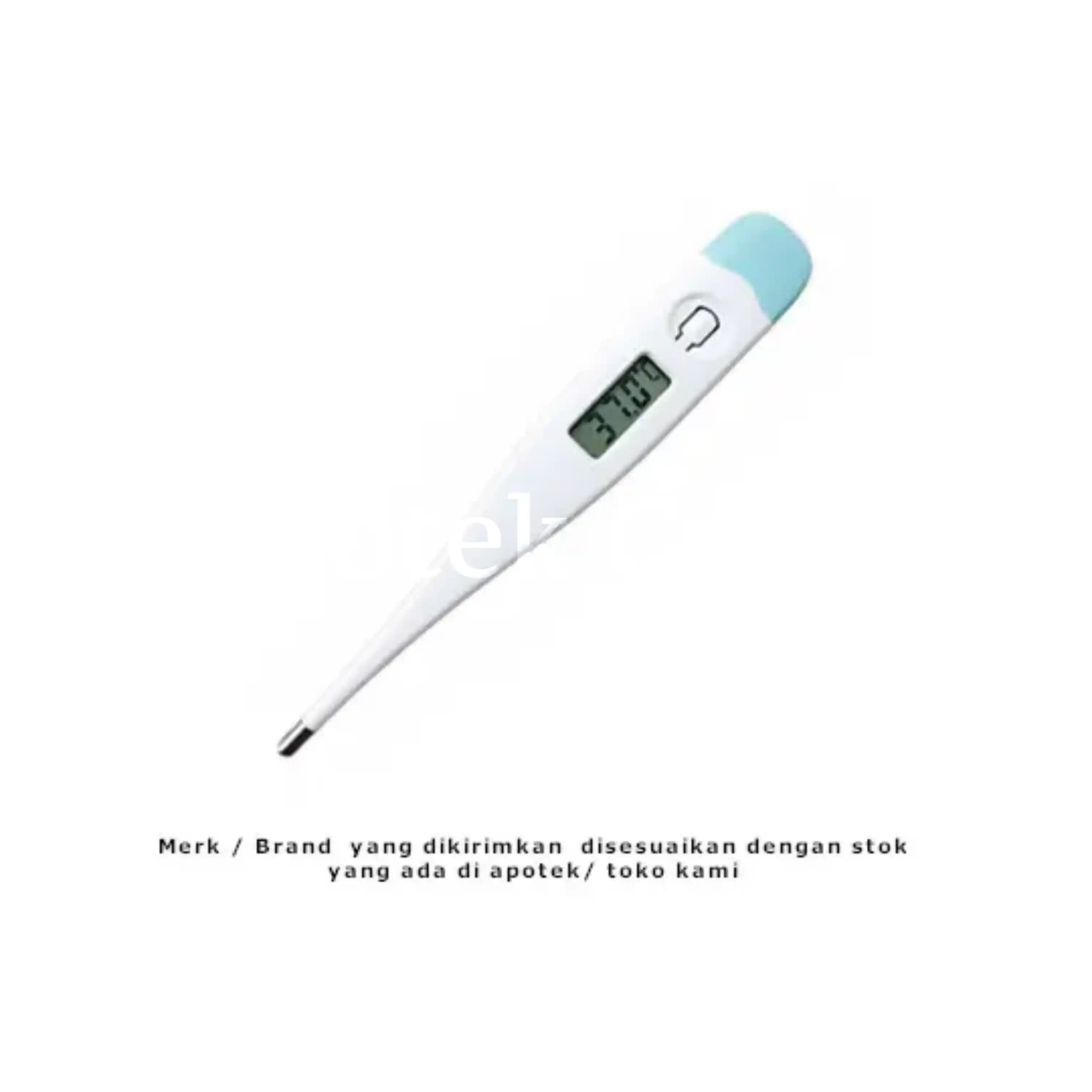 THERMOMETER DIGITAL 2