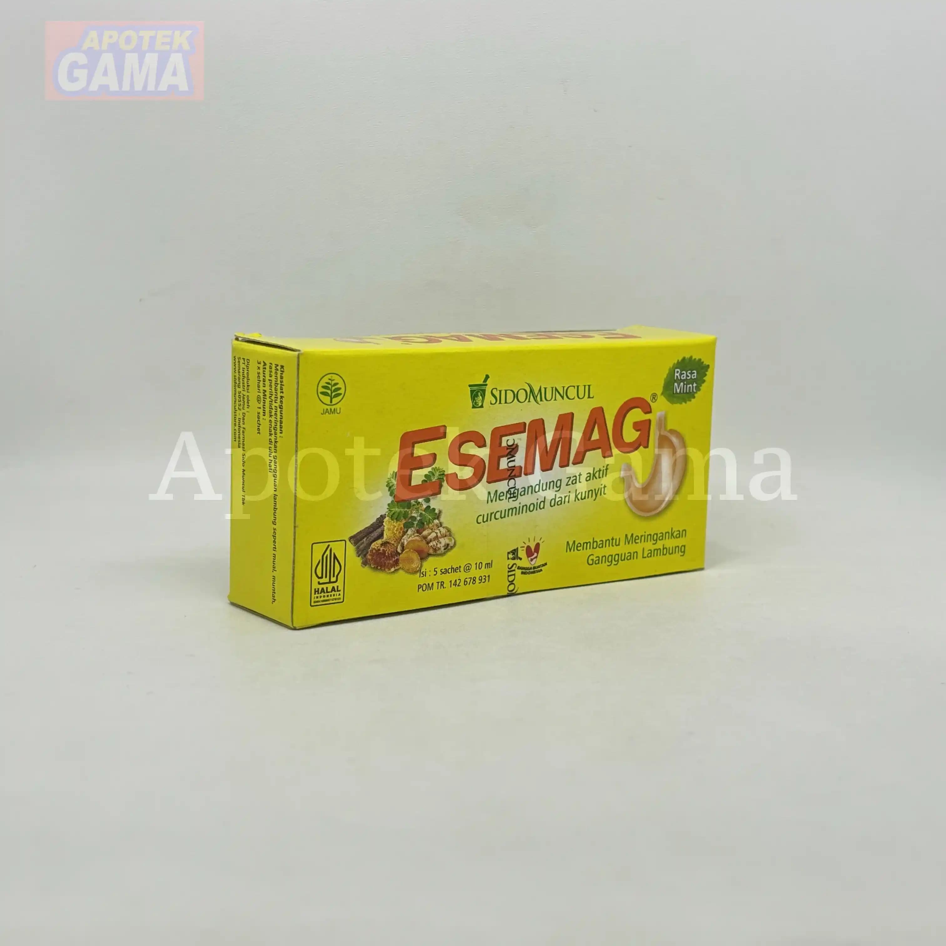 ESEMAG 3
