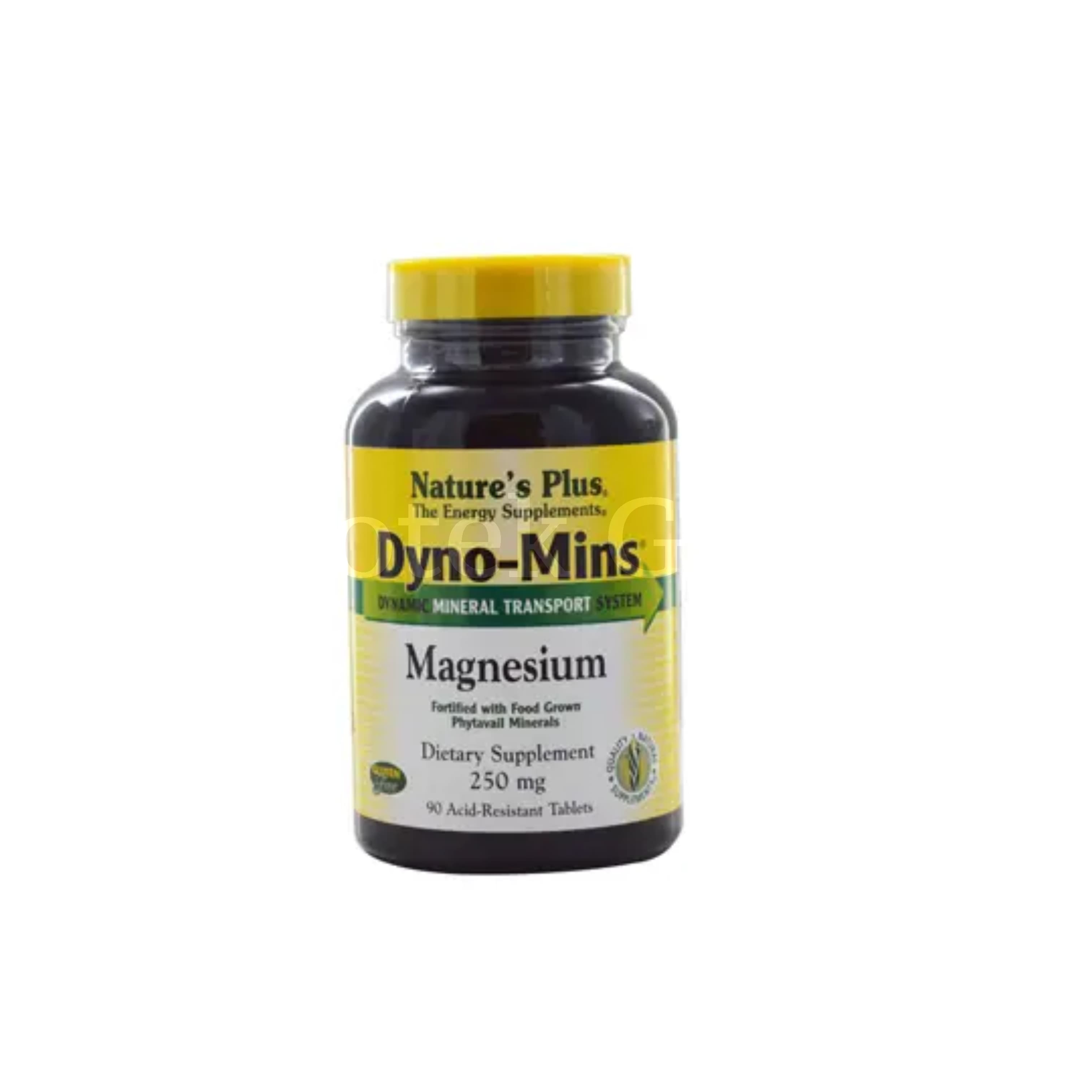 NATURES PLUS DYNO-MINS MAGNESIUM 250MG 90S