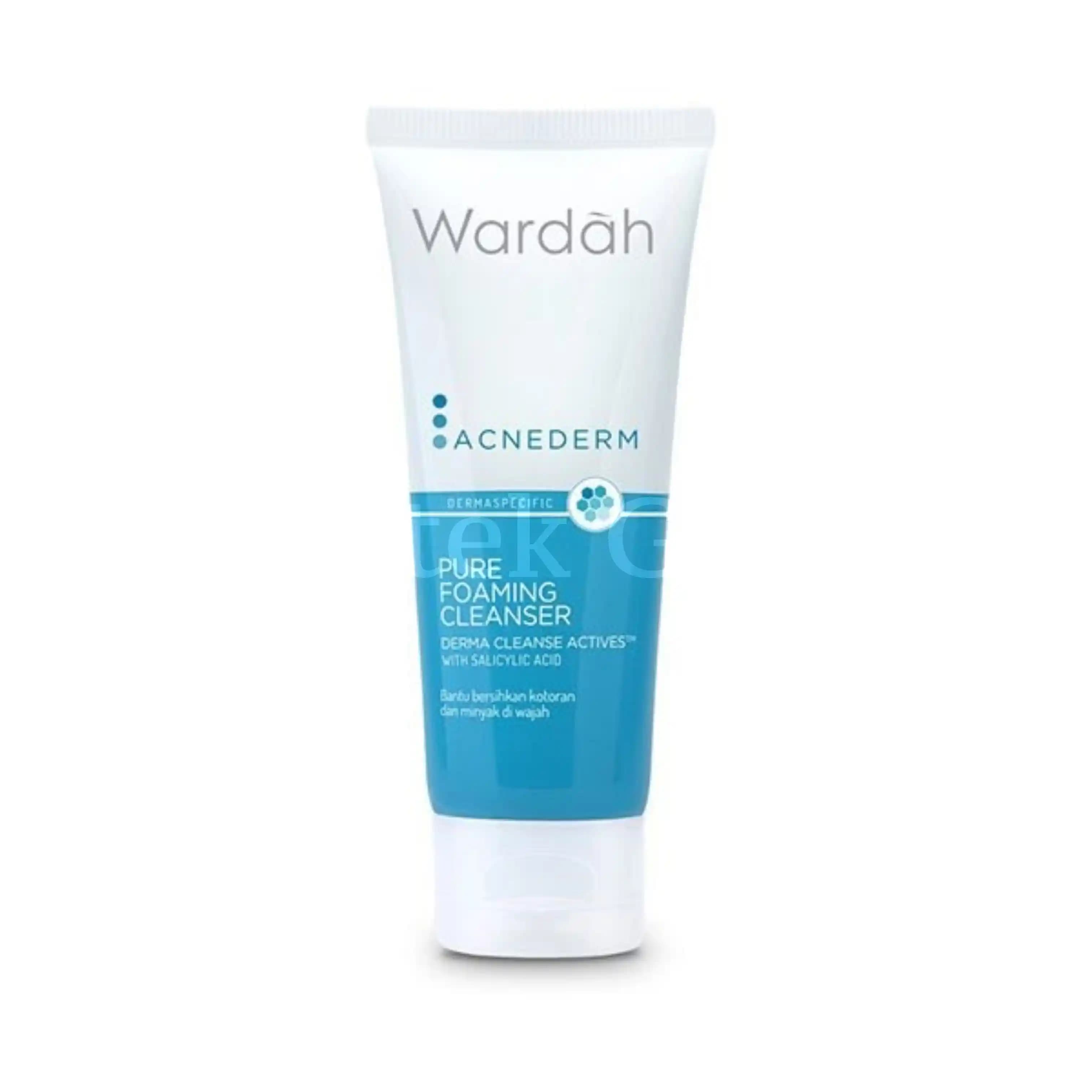 WARDAH ACNEDERM PURE FOAMING CLEANSER 60 ML