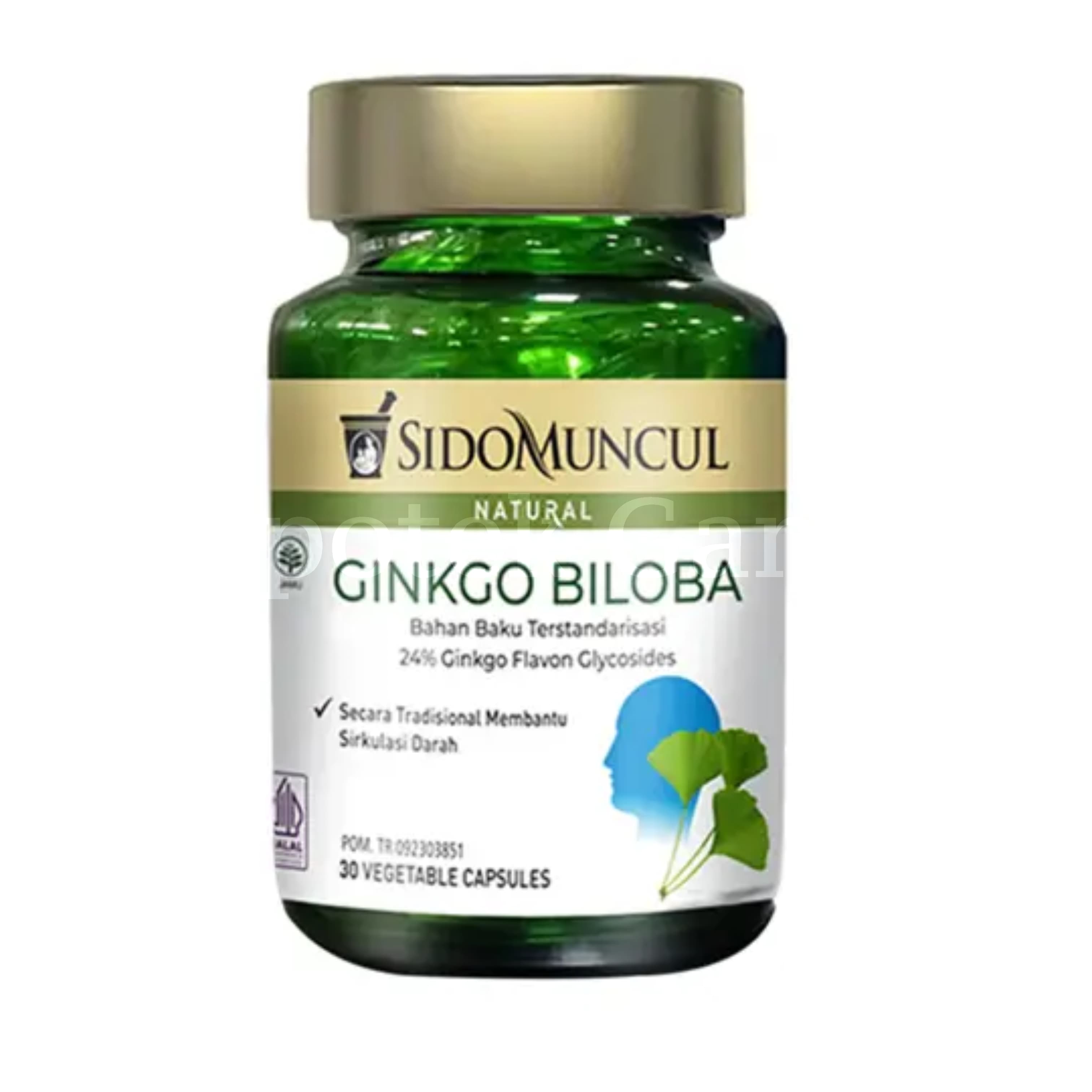 SIDOMUNCUL GINKGO BILOBA 2