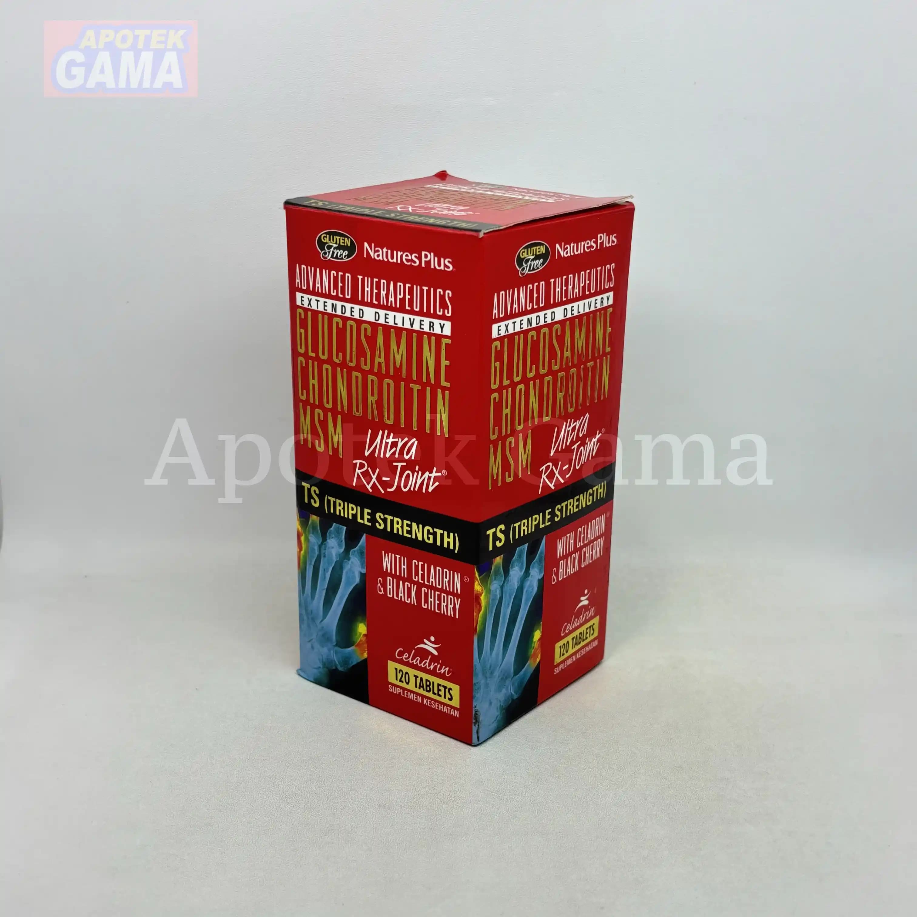NATURES PRIDE NP GLUCOSAMIN + CHONDROITIN ISI 100 5