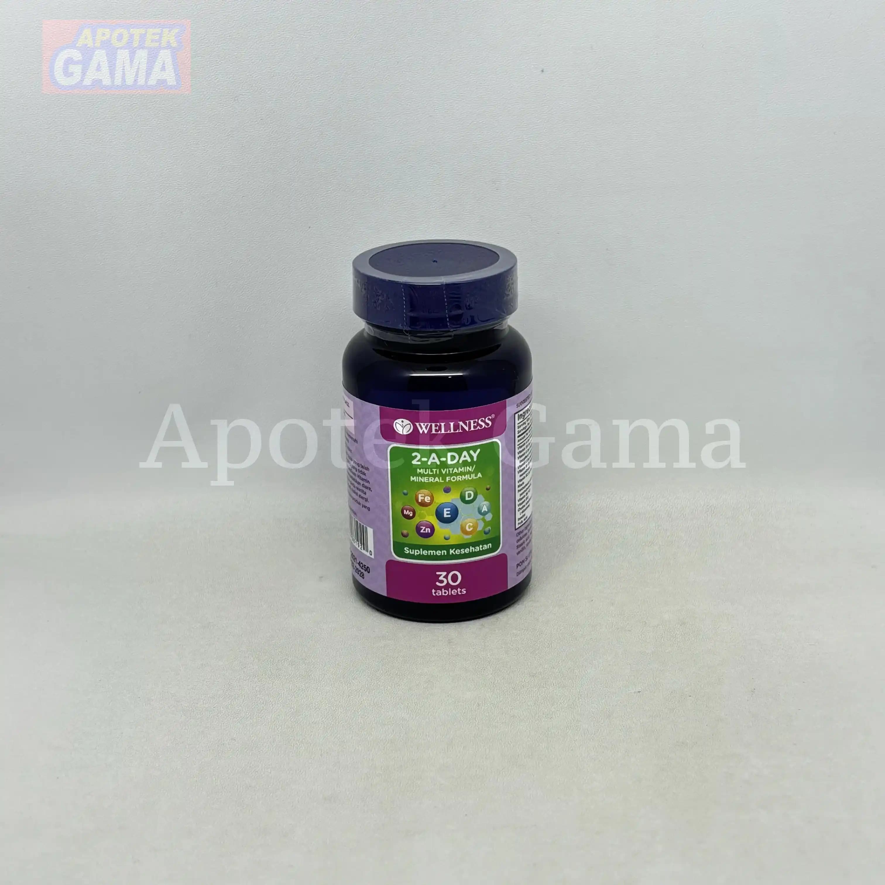 WELLNESS MULTI 2-A-DAY 30S