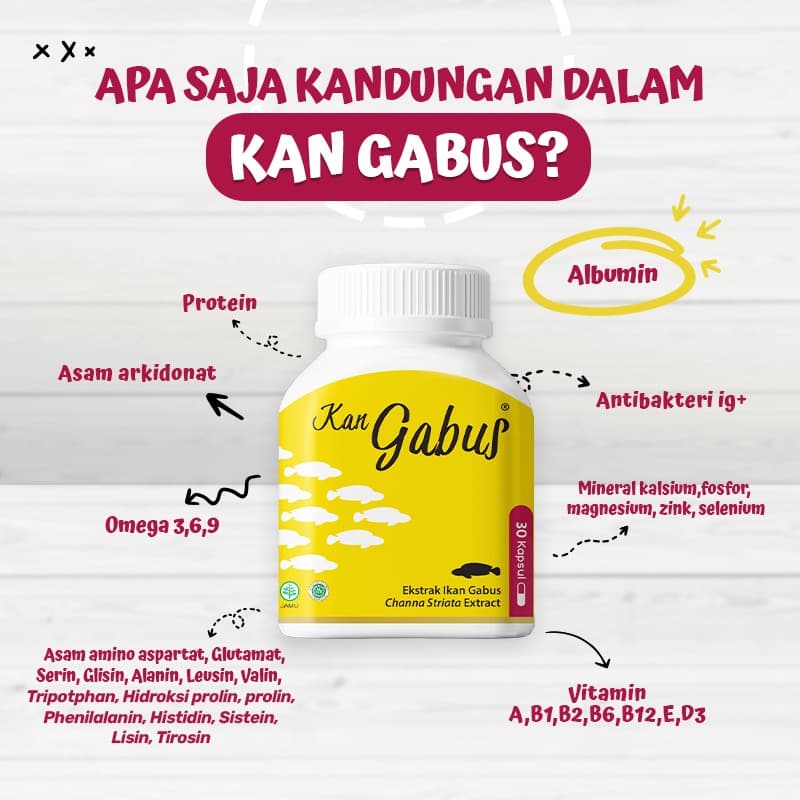 KAN GABUS 500MG 30S 3