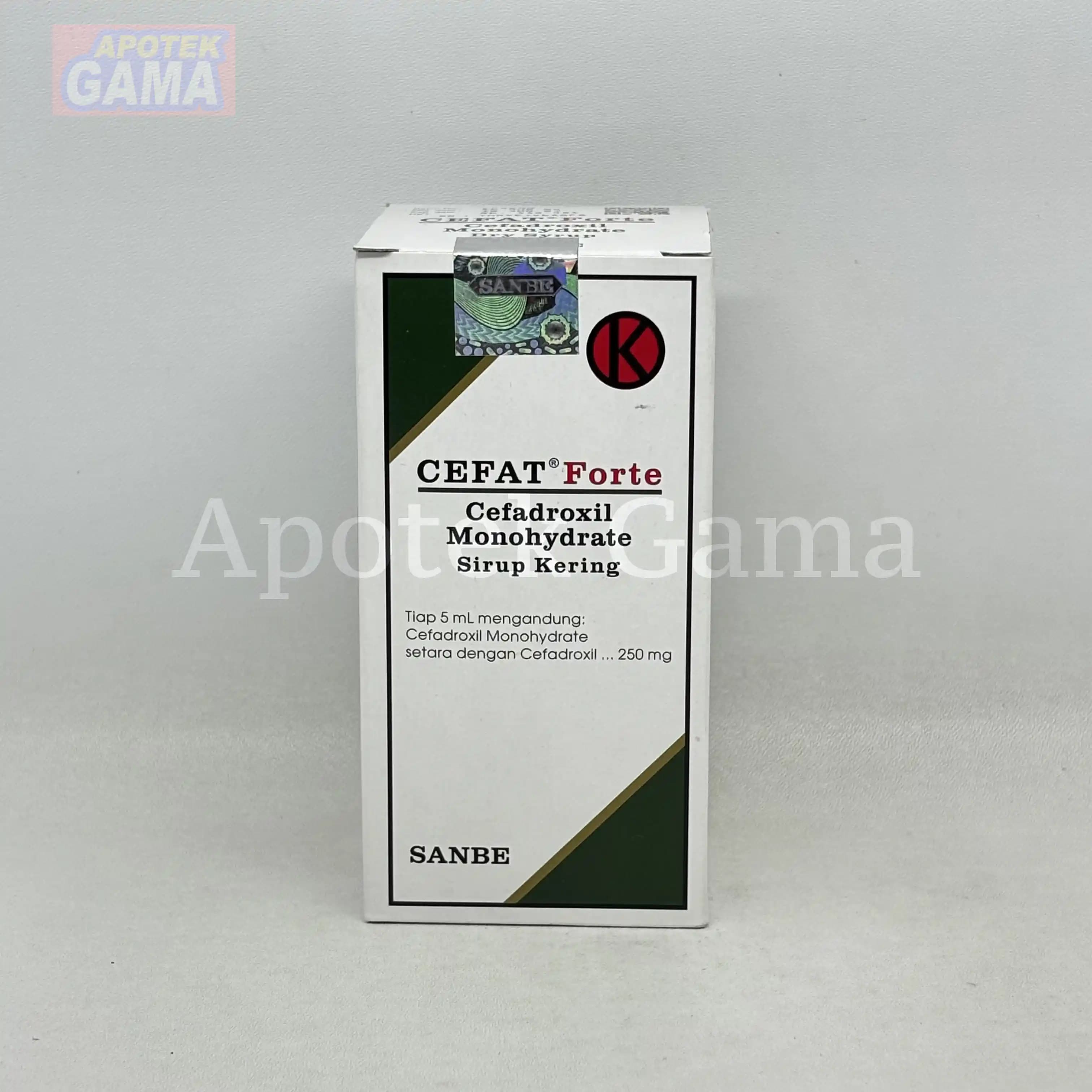 CEFAT FORTE SYR 4
