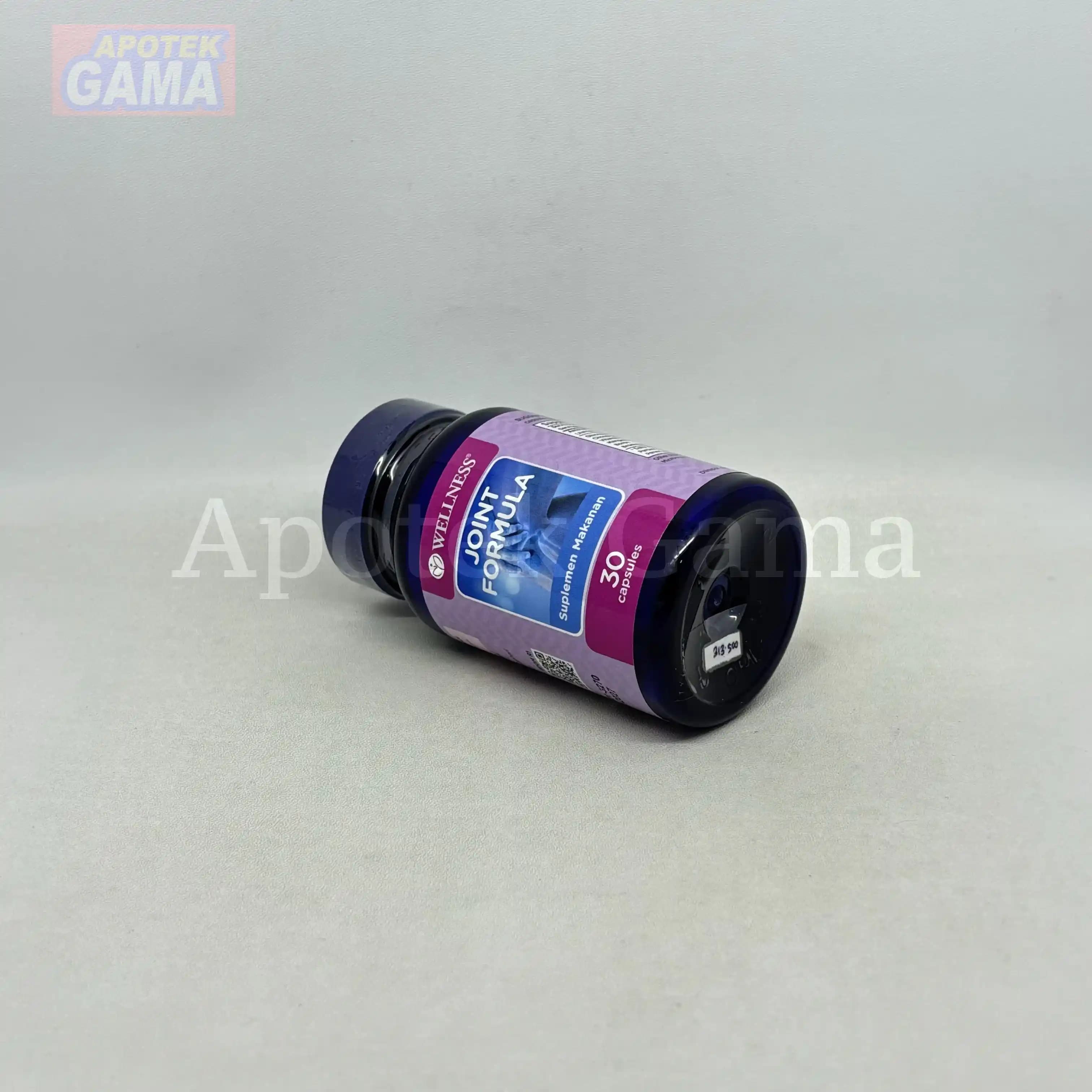 WELLNESS JOINT FORMULA 30S 3