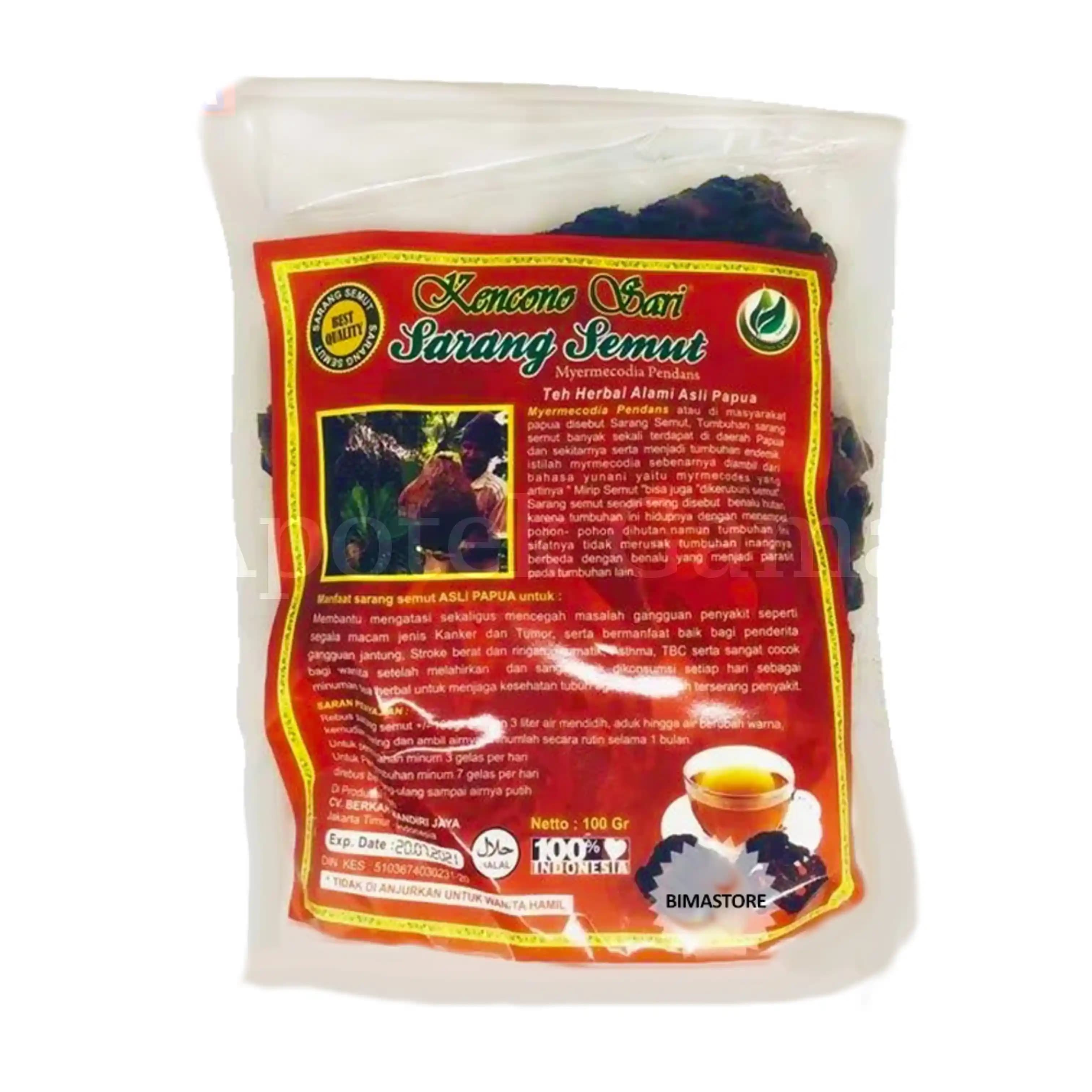 SARANG SEMUT KERING