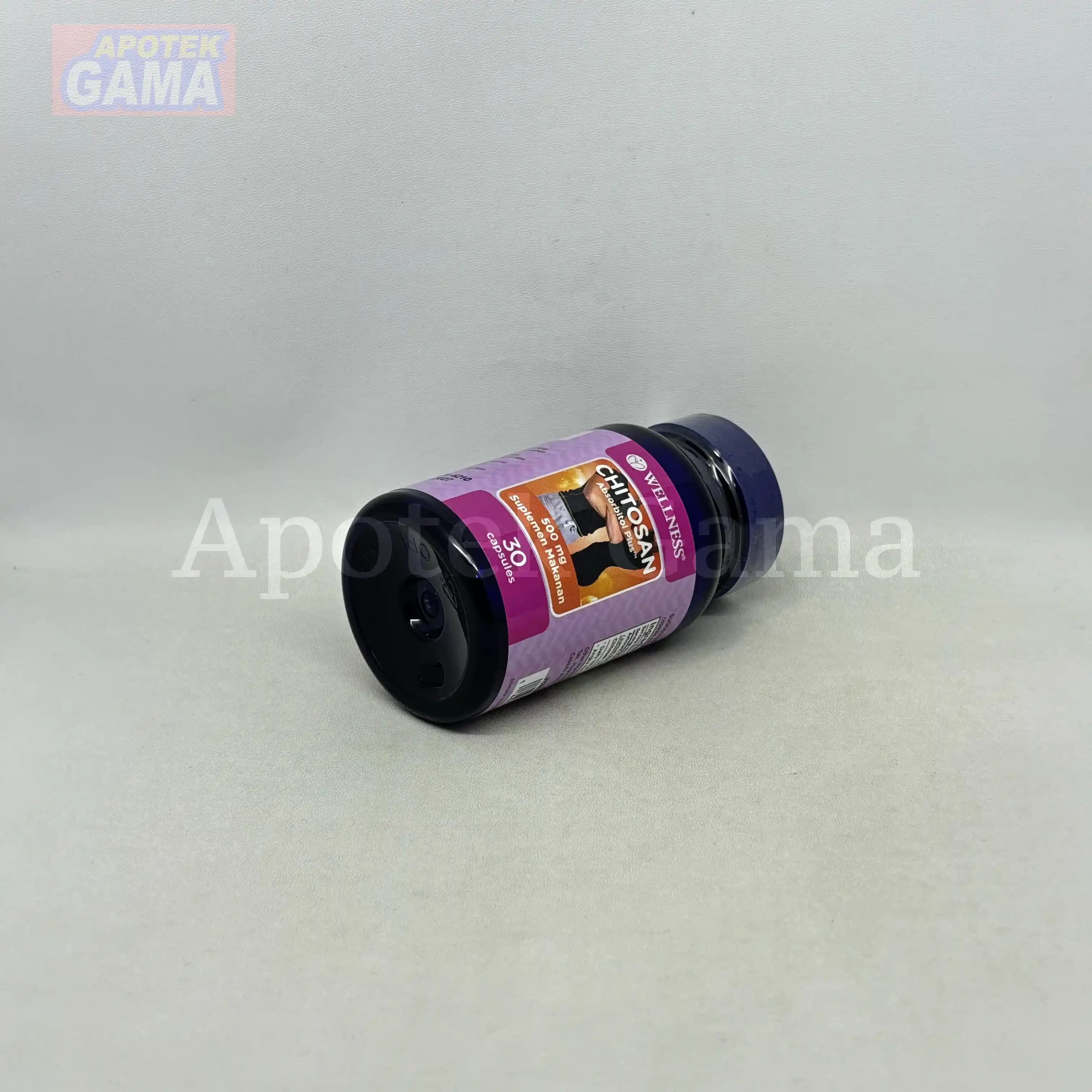WELLNESS CHITOSAN 30S 5