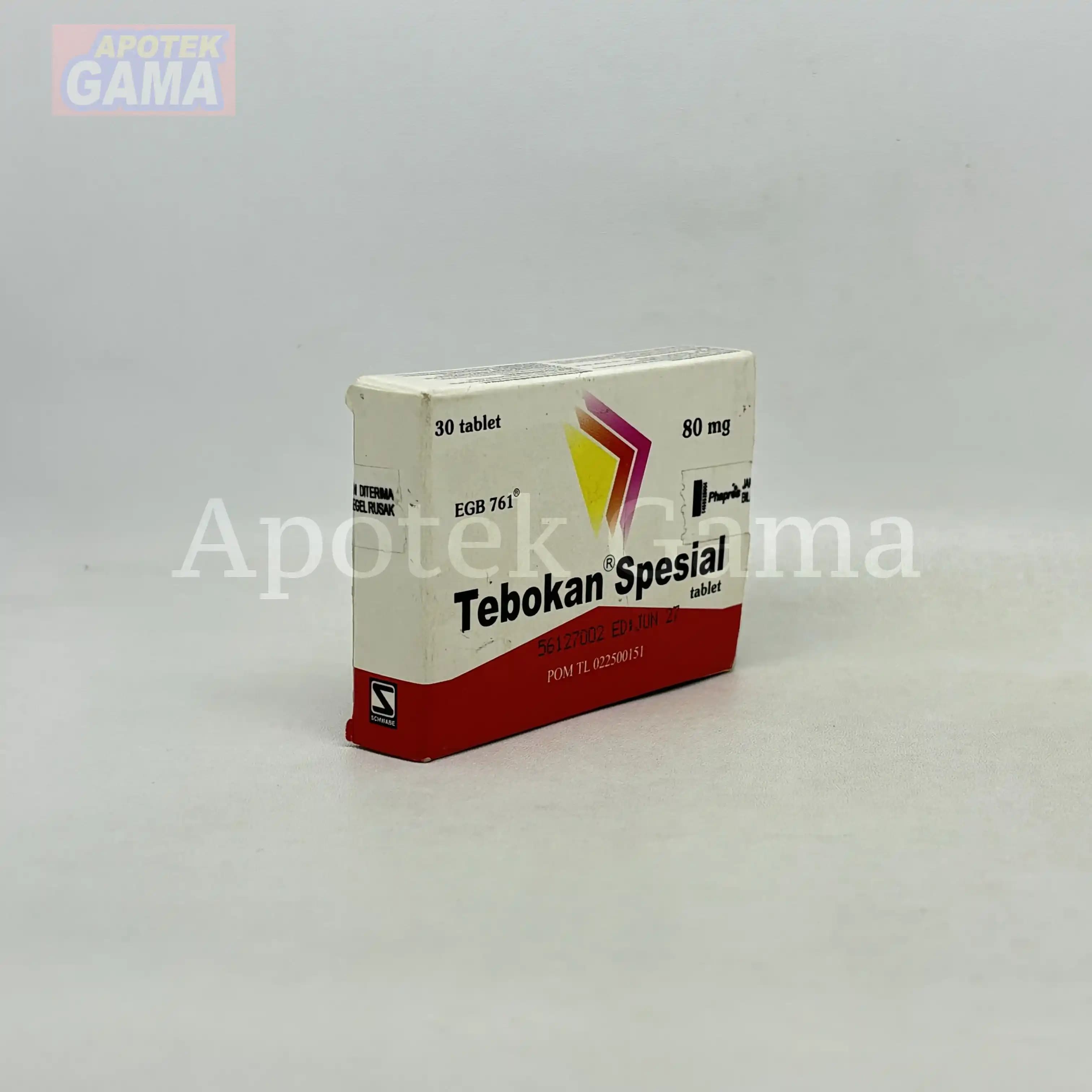 TEBOKAN SPESIAL TAB 2