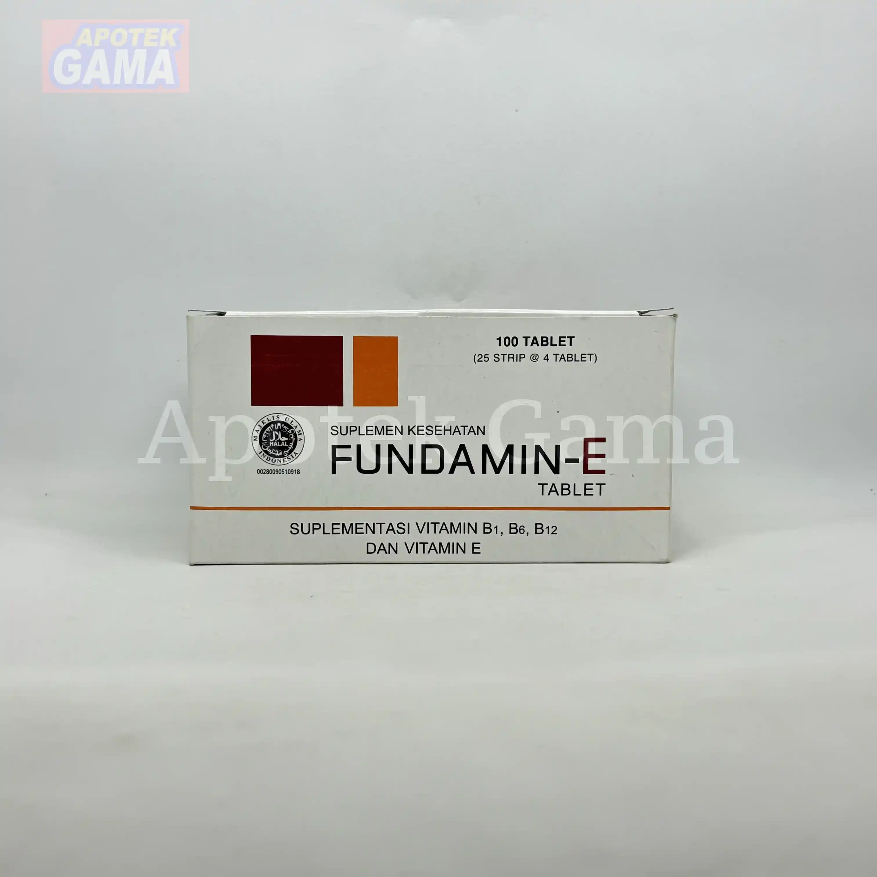 FUNDAMIN-E 5
