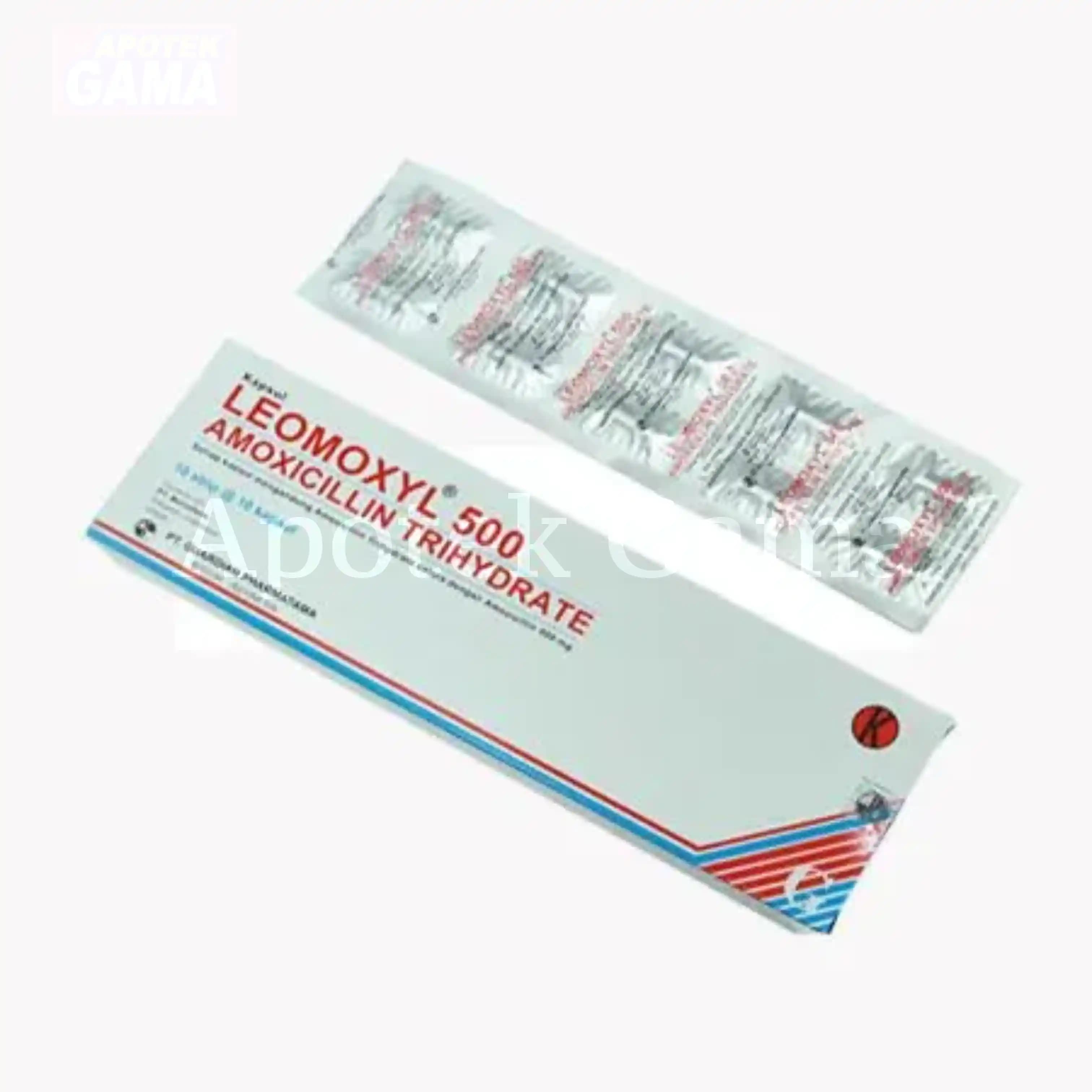 LEOMOXYL 500 MG