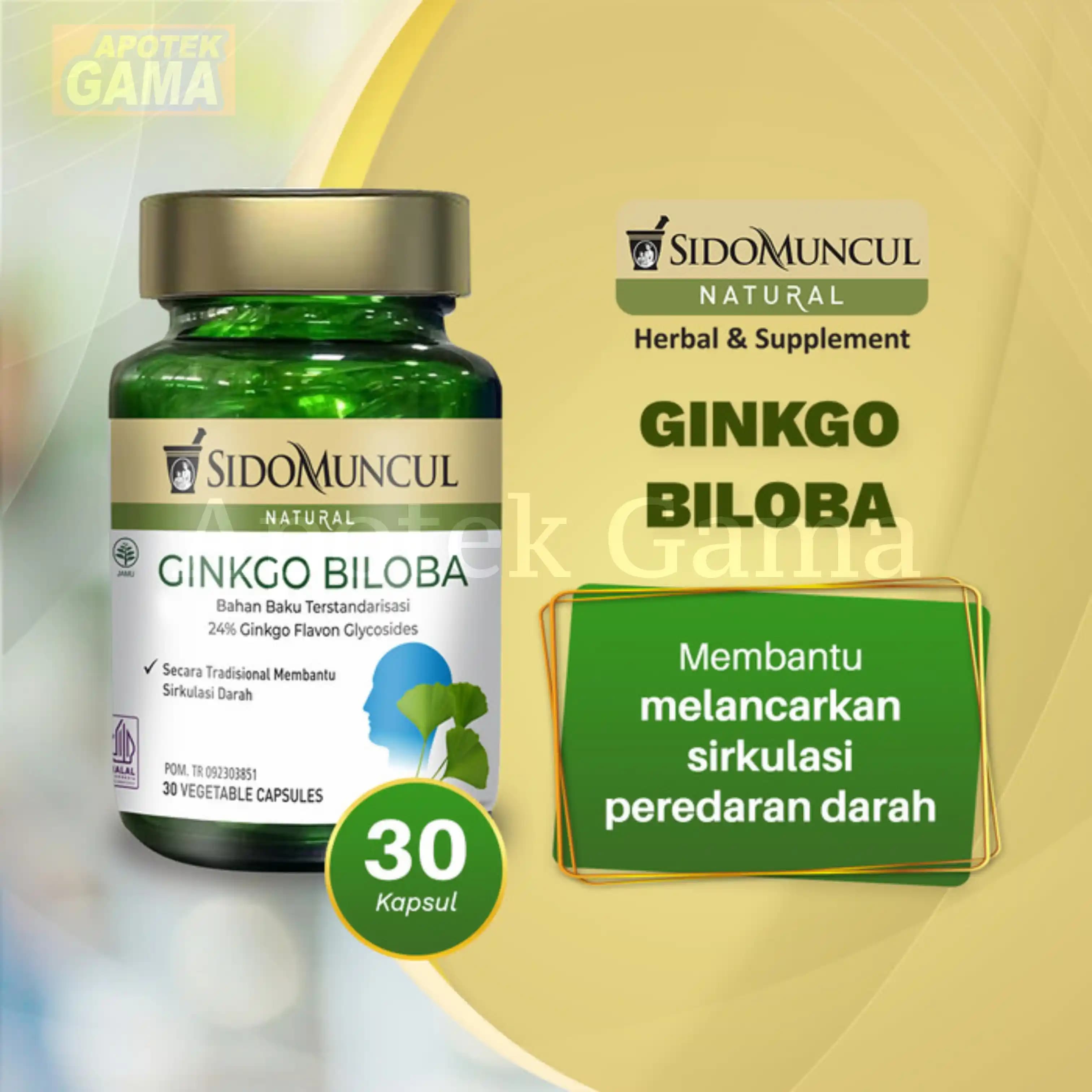 SIDOMUNCUL GINKGO BILOBA