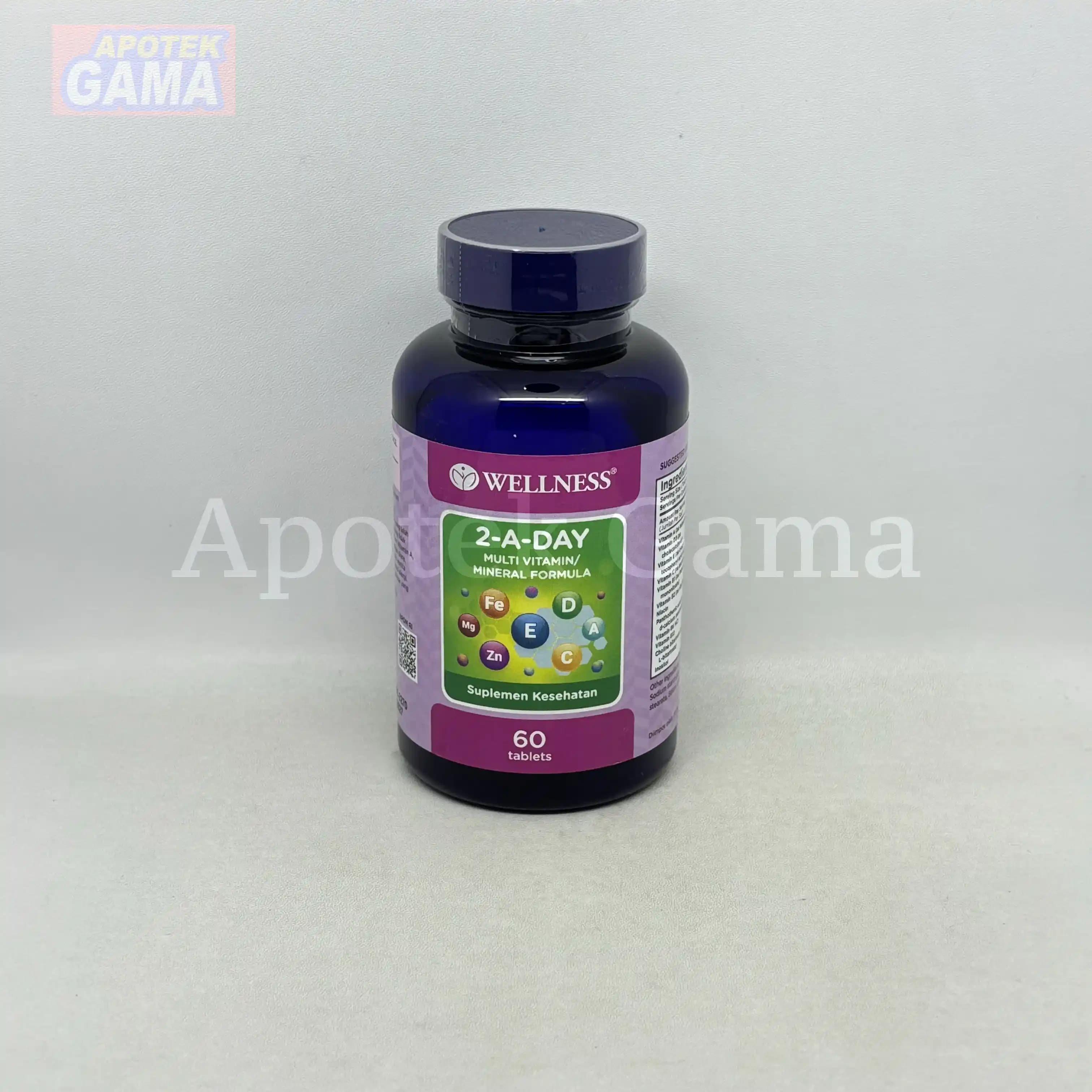 WELLNESS MULTI 2-A-DAY 60S 3