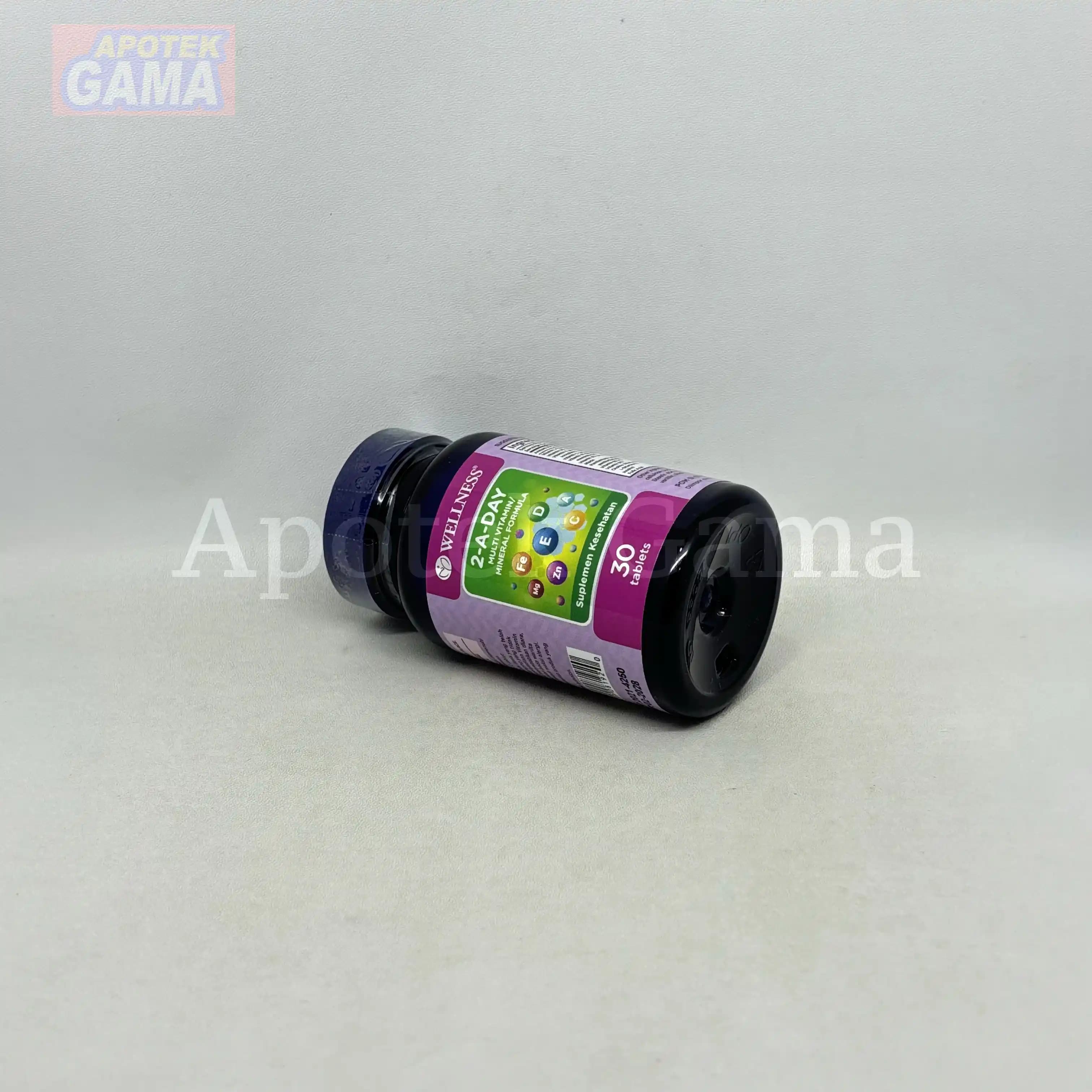 WELLNESS MULTI 2-A-DAY 30S 3