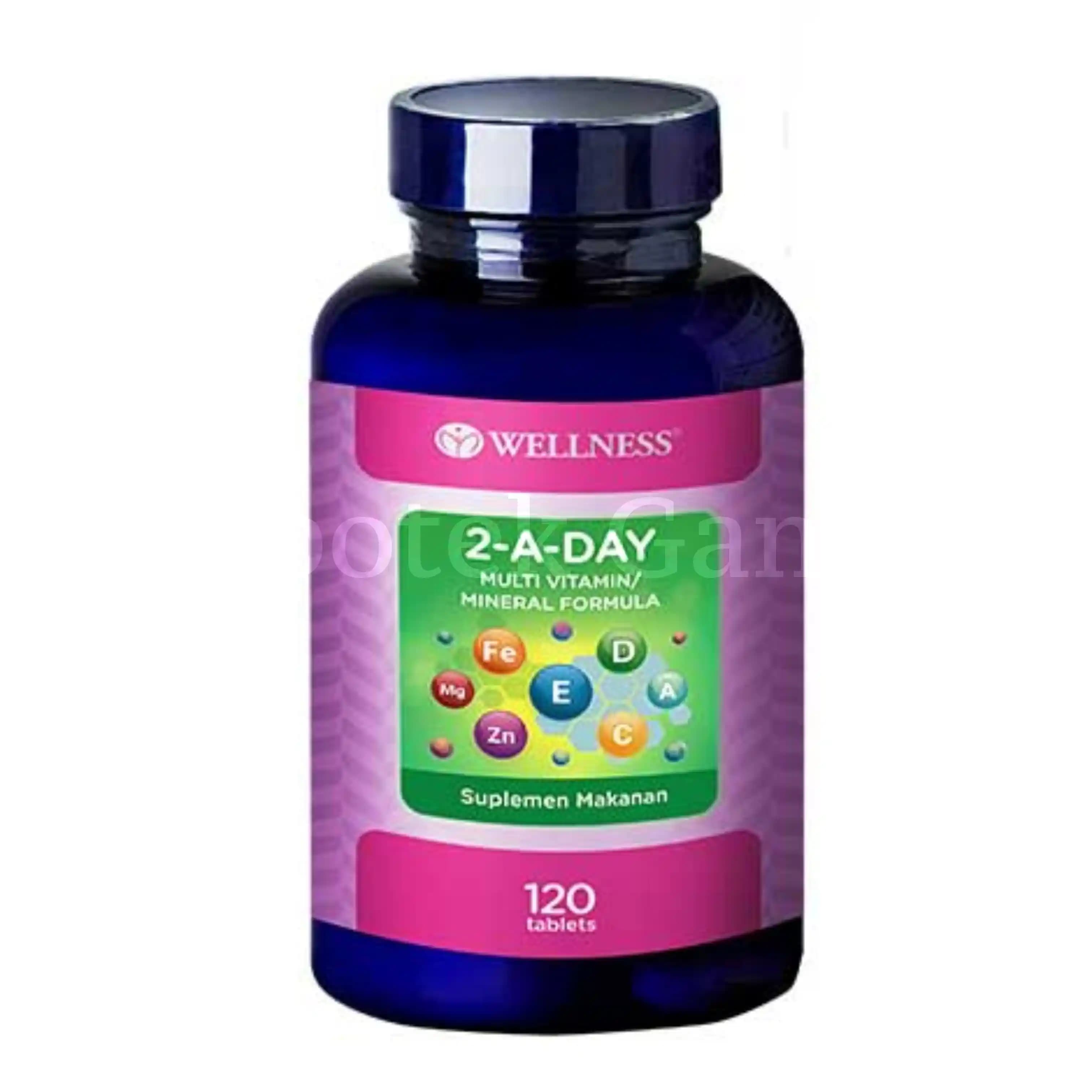 WELLNESS MULTI 2-A-DAY 120S