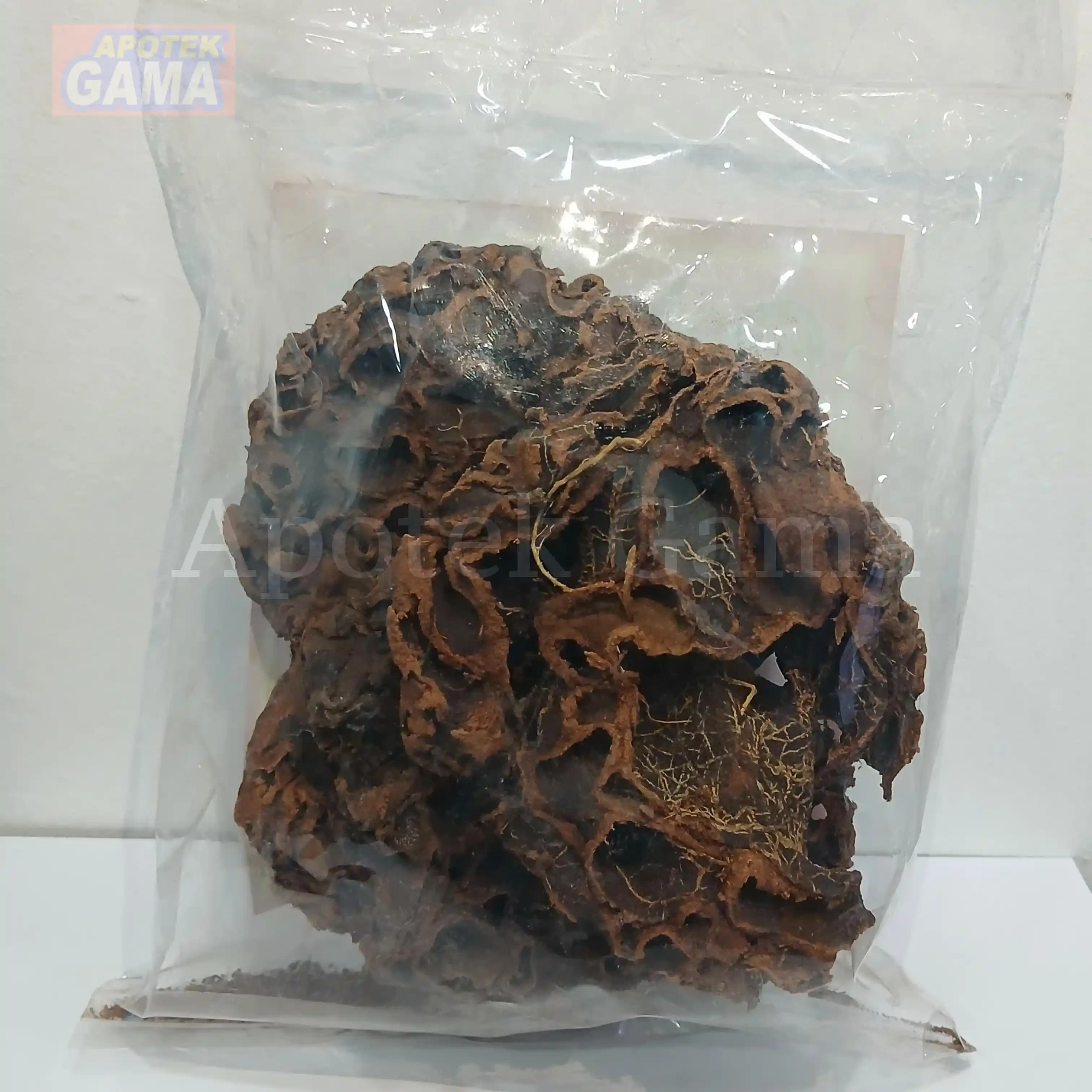 SARANG SEMUT KERING 2