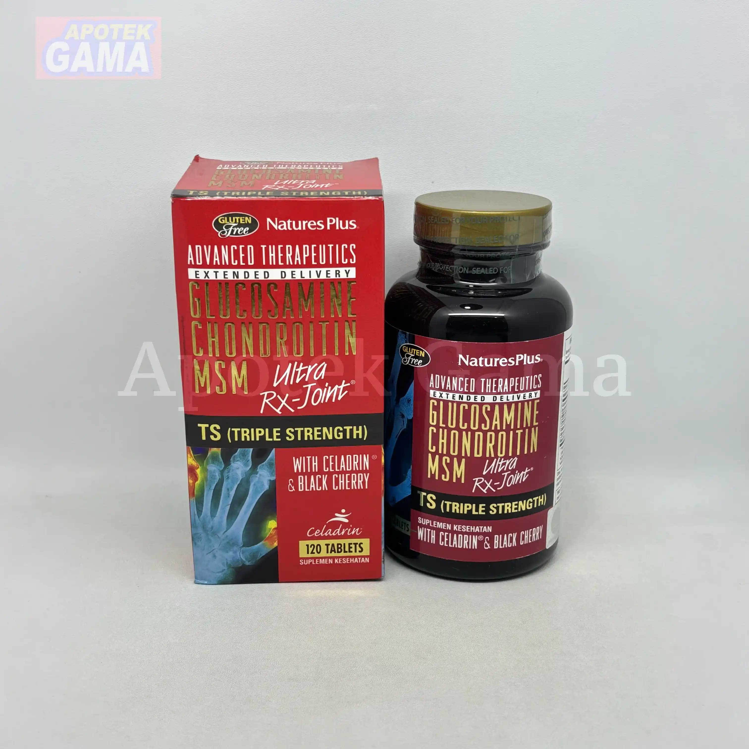 NATURES PRIDE NP GLUCOSAMIN + CHONDROITIN ISI 100