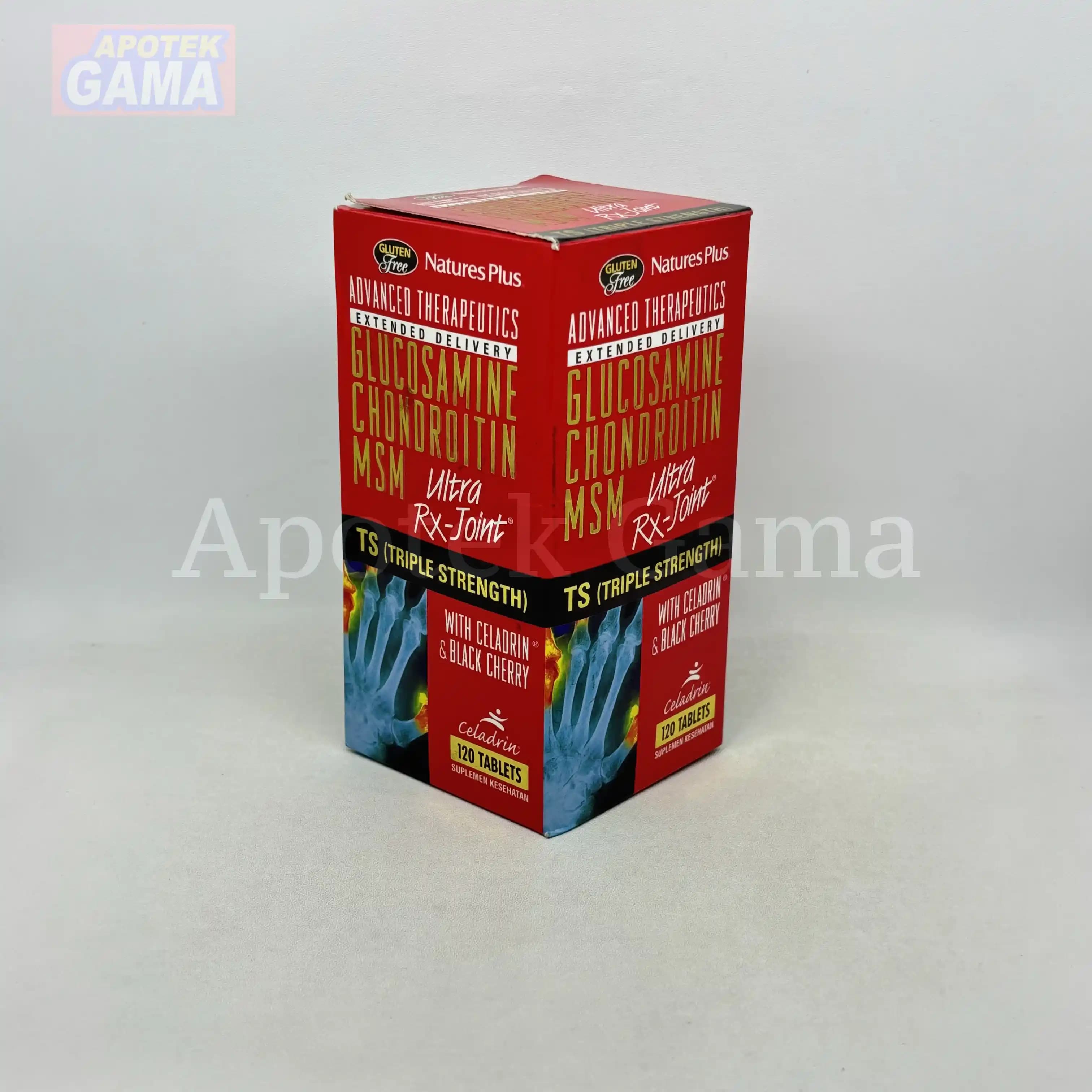 NATURES PRIDE NP GLUCOSAMIN + CHONDROITIN ISI 100 4