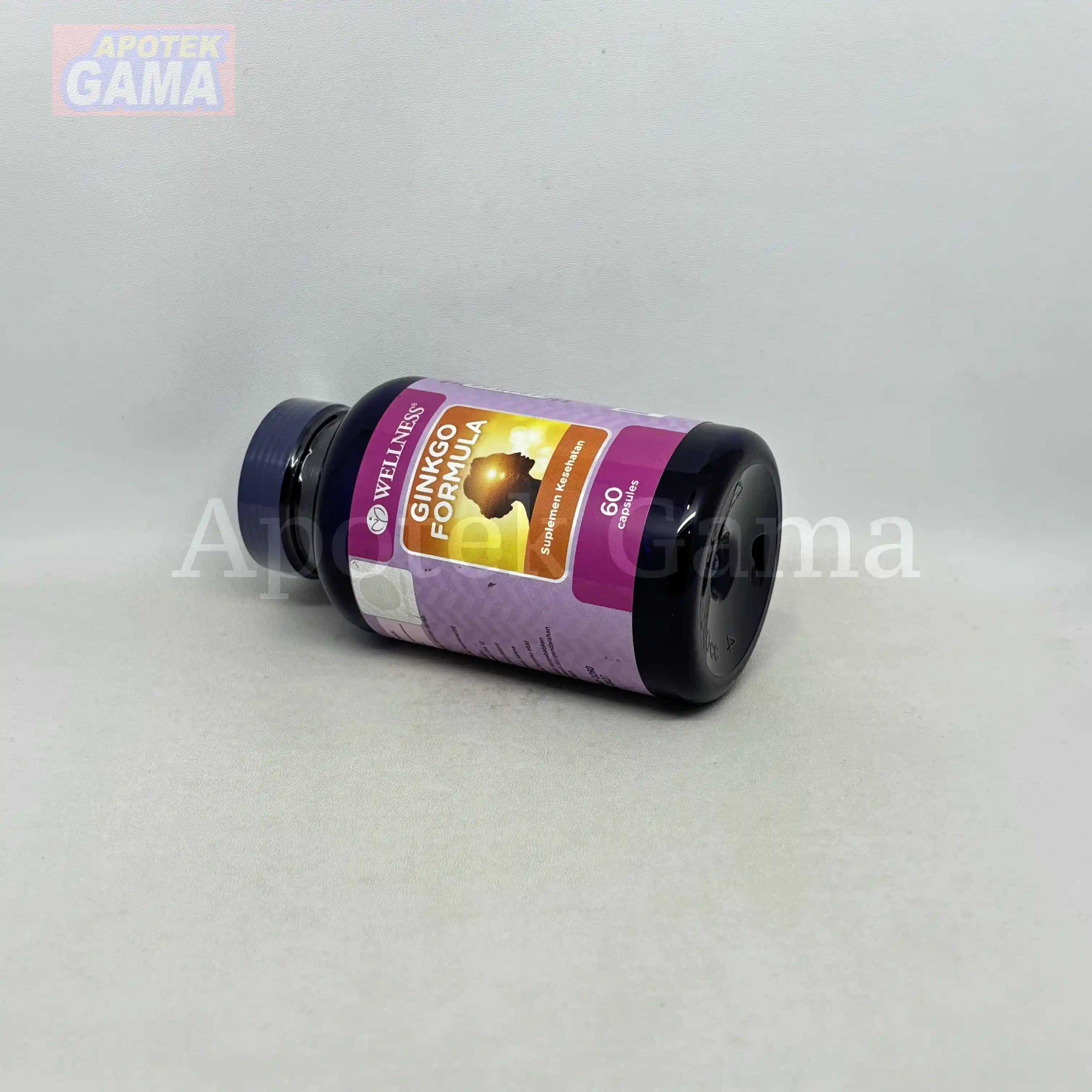 WELLNESS GINKGO FORMULA 60S 2