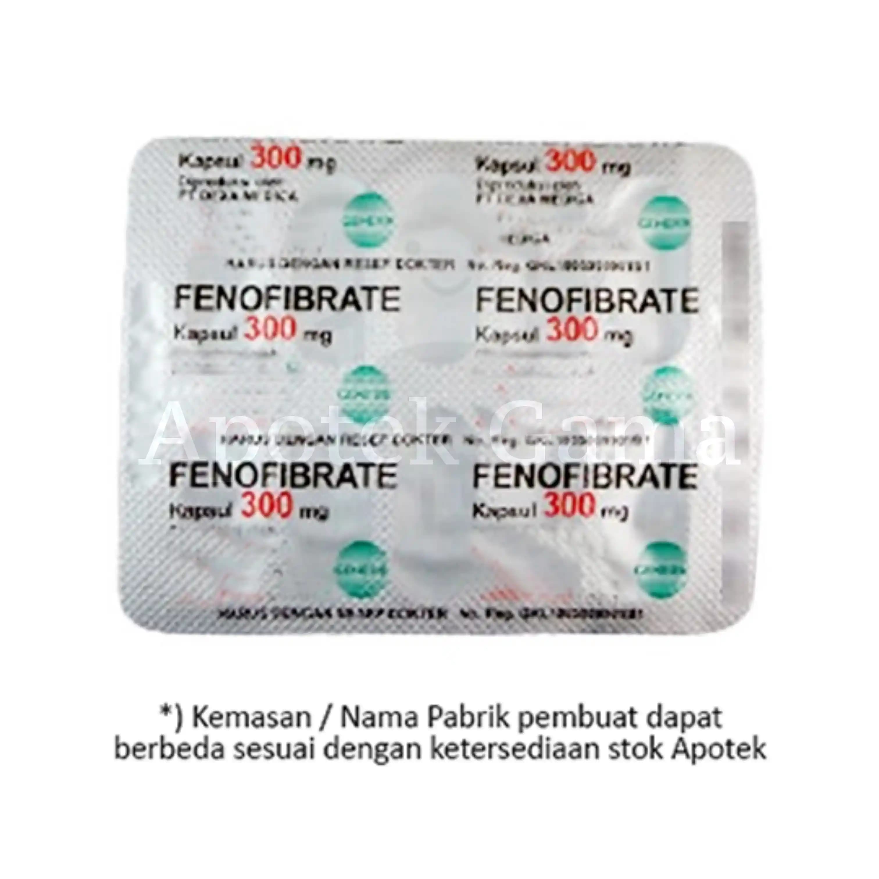 FENOFIBRATE 300 MG TABLET (GEN) HJ 2
