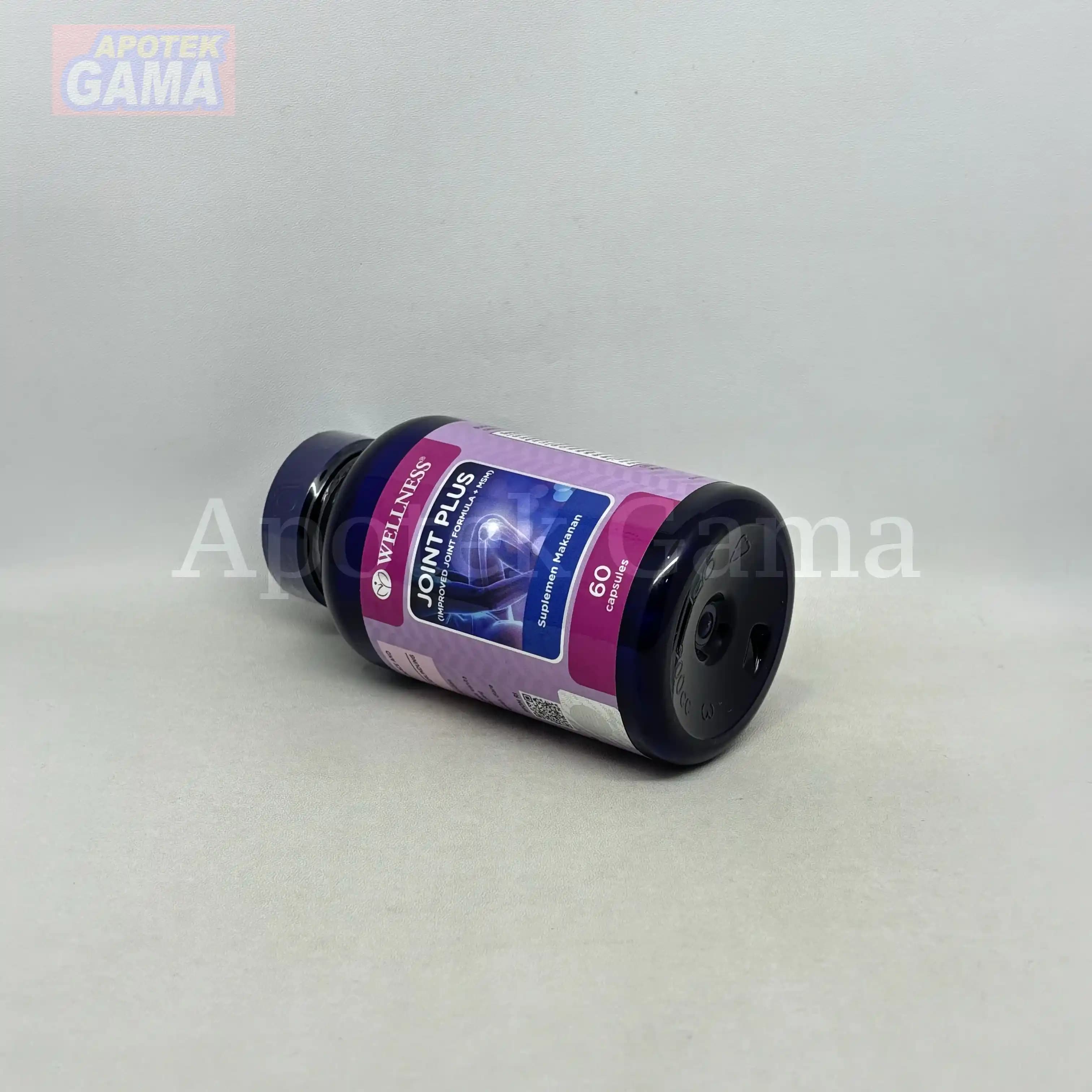 WELLNESS JOINT PLUS 60S 4