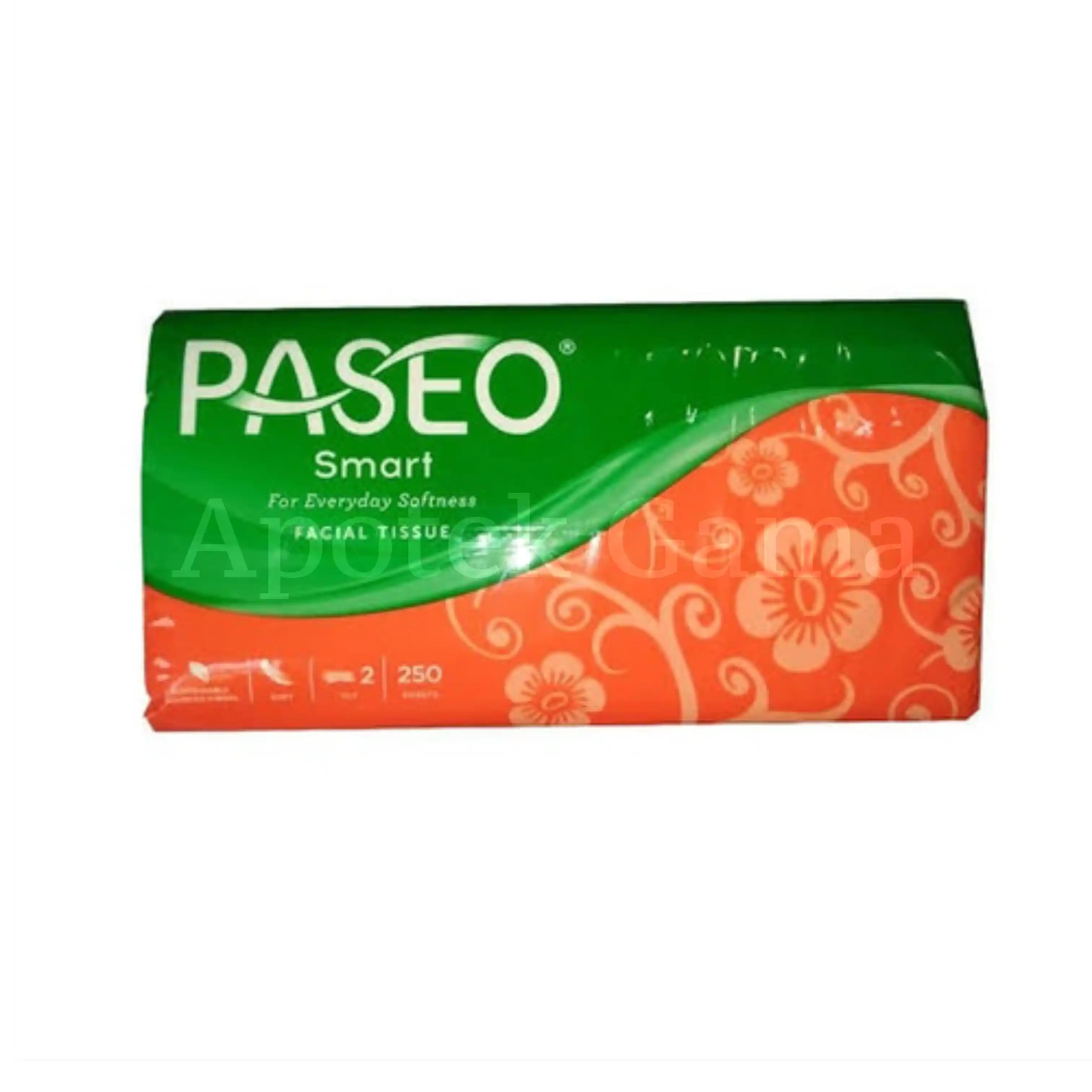 PASEO SMART 250S