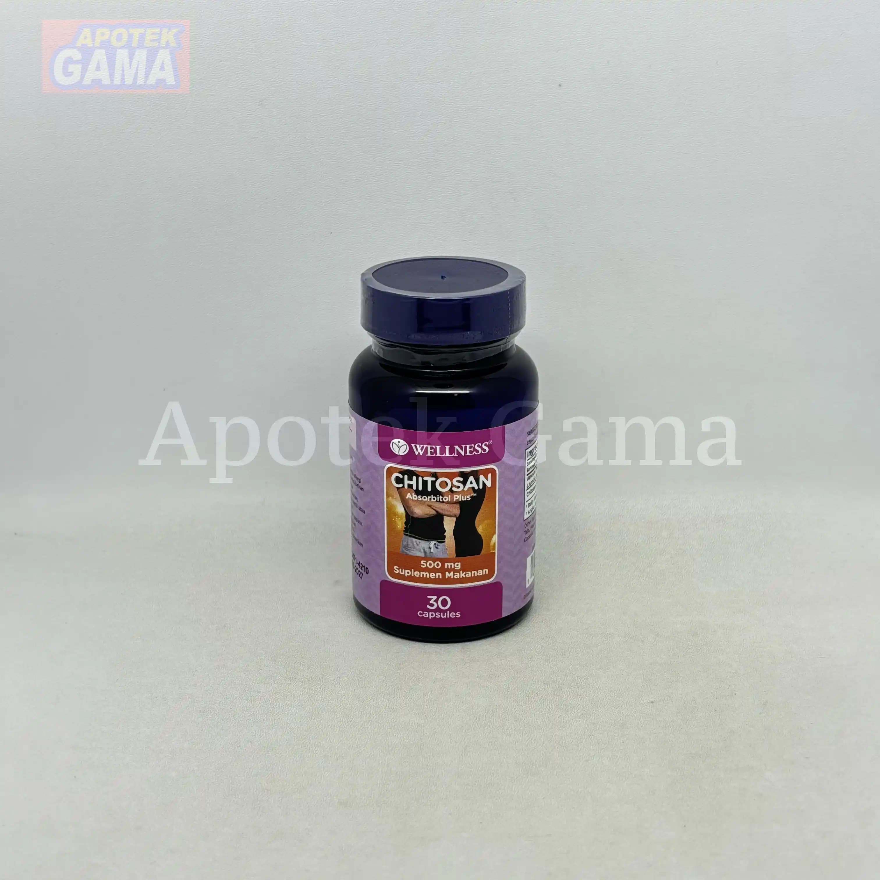 WELLNESS CHITOSAN 30S 3