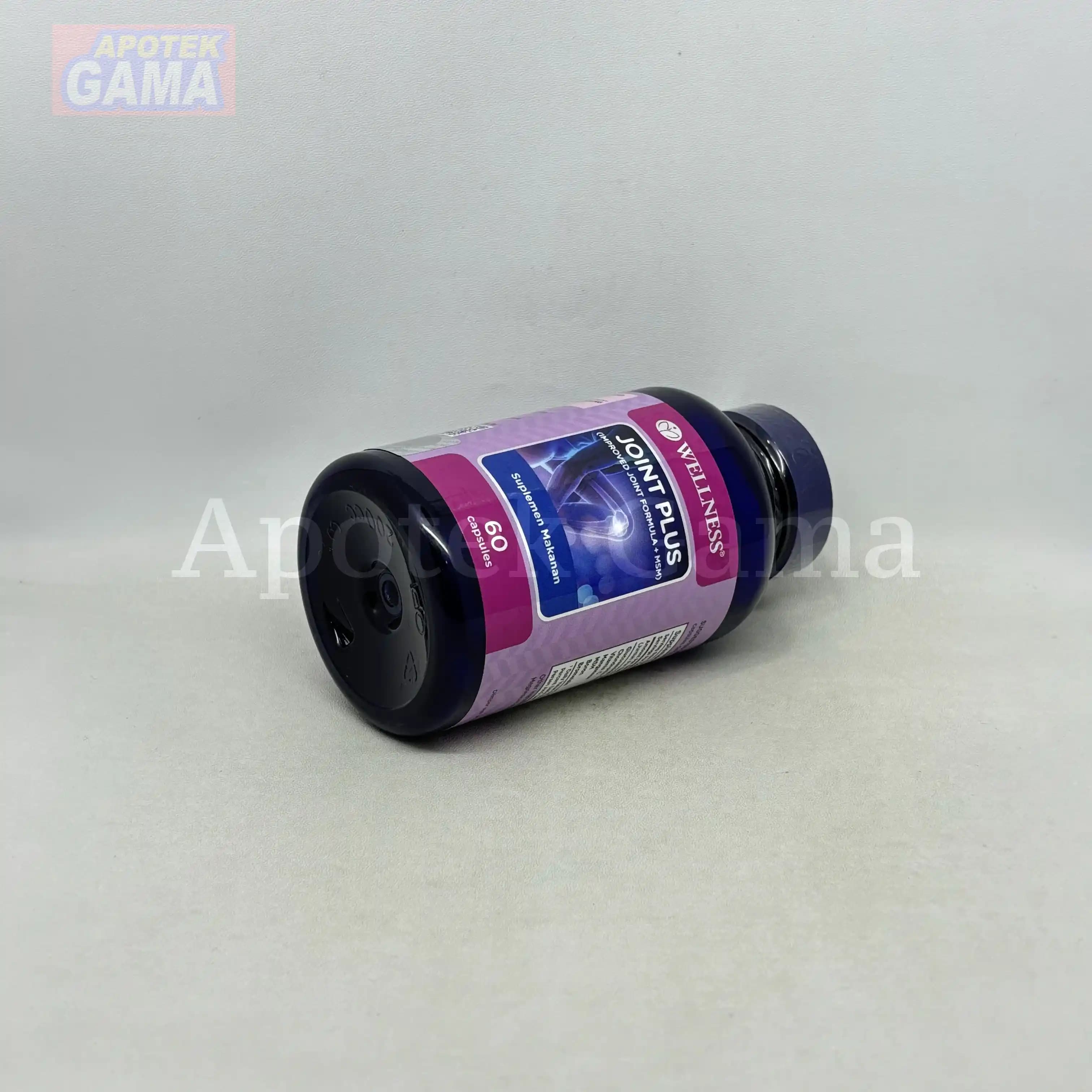 WELLNESS JOINT PLUS 60S