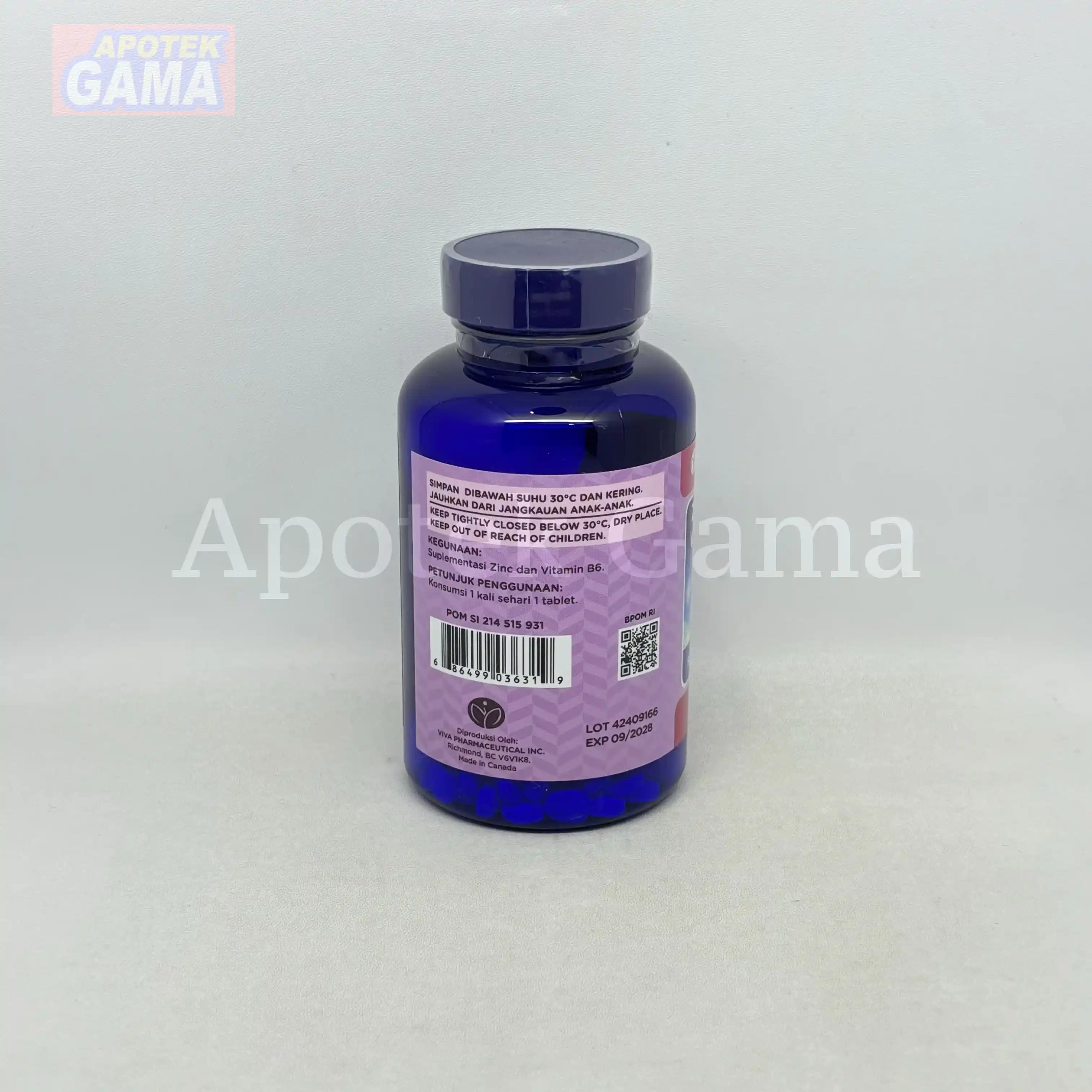 WELLNESS VIT ZINC WITH B6 60S