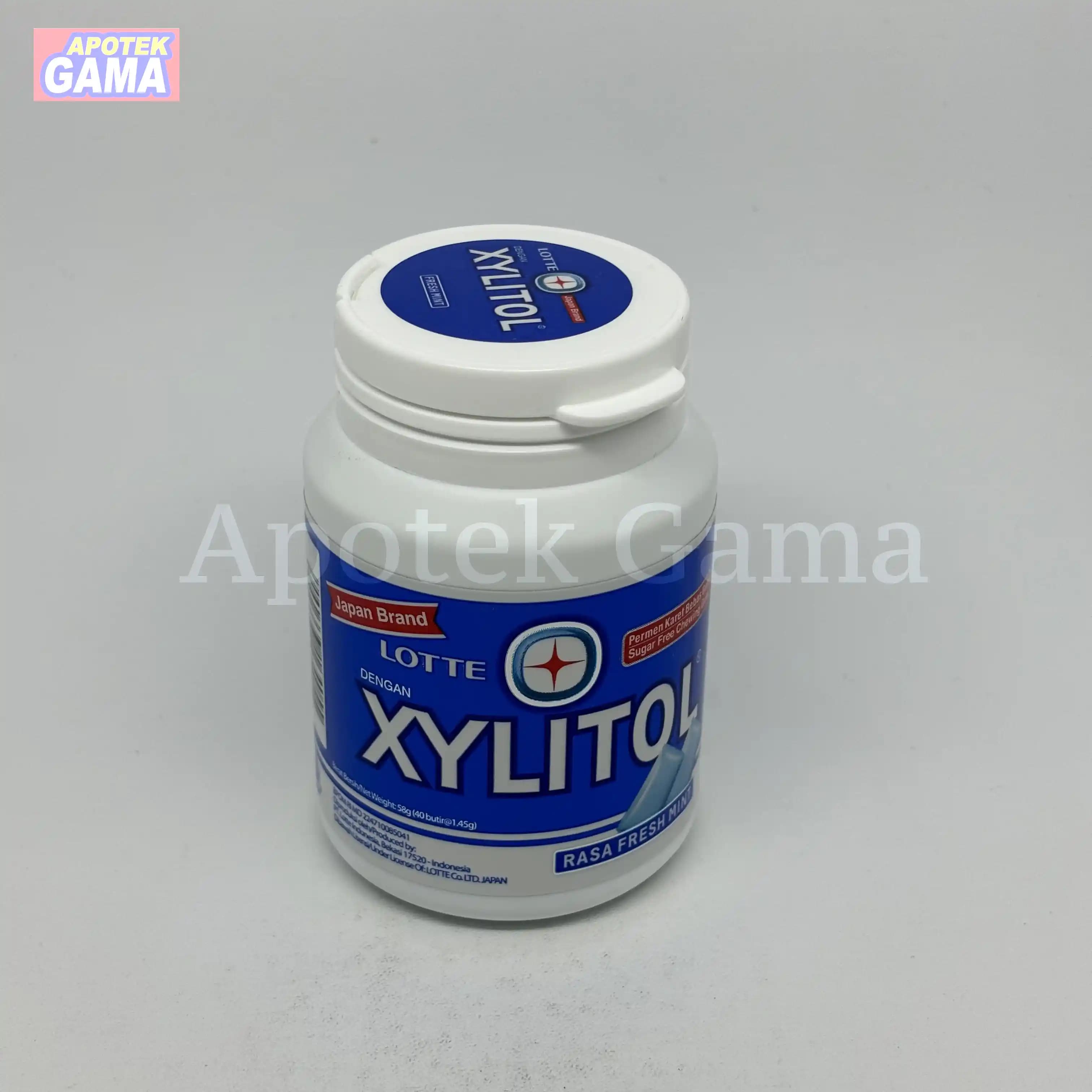 XYLITOL FRESH MINT 55G 2