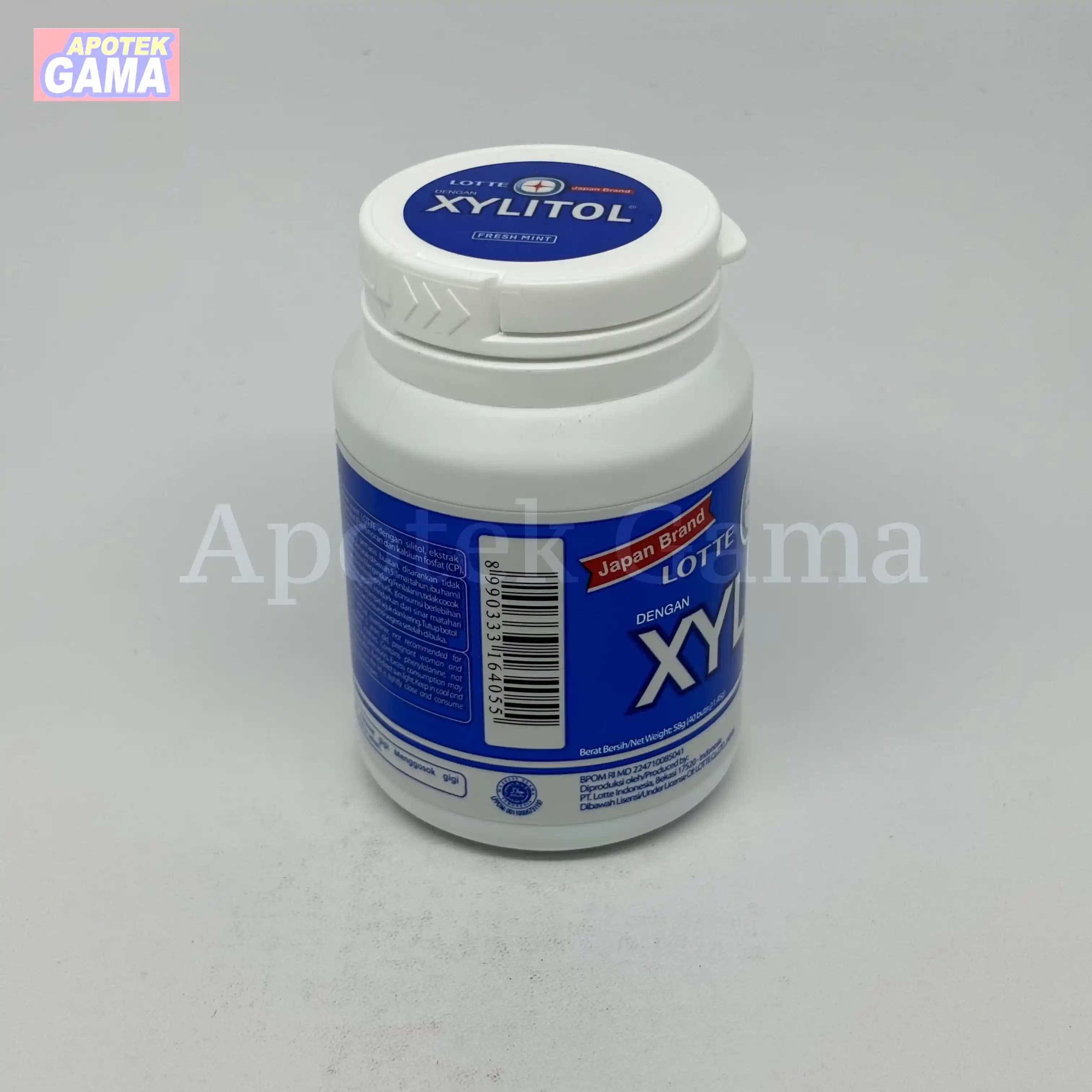 XYLITOL FRESH MINT 55G