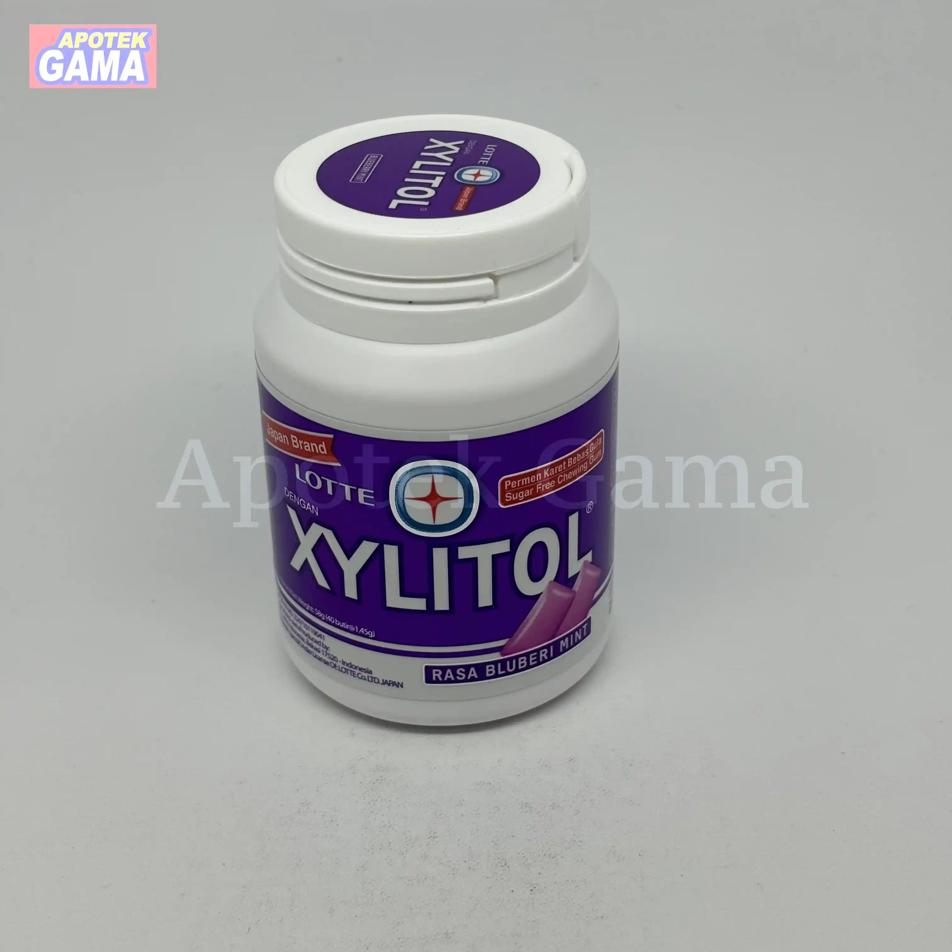 XYLITOL BLUBERI MINT 55G 2