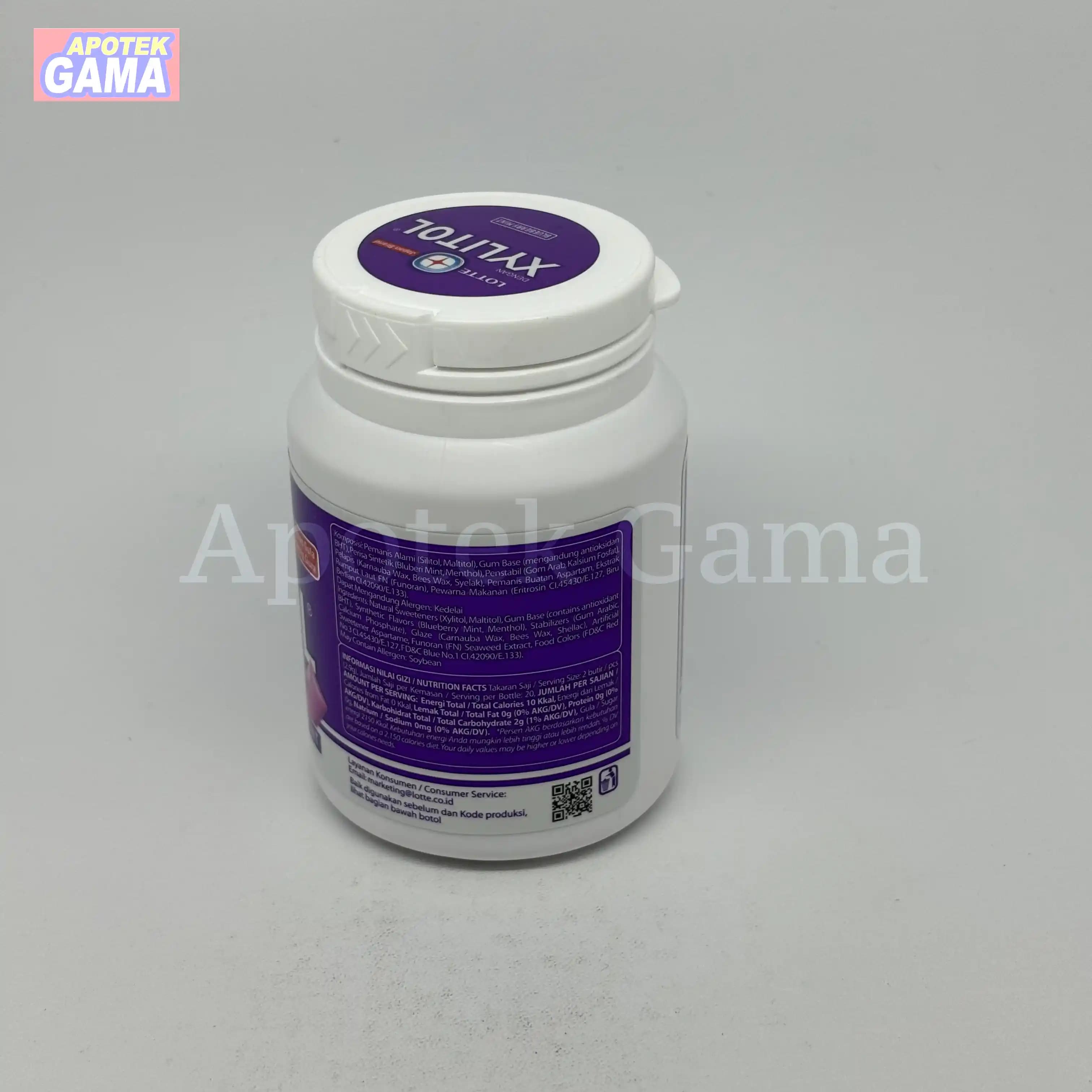 XYLITOL BLUBERI MINT 55G