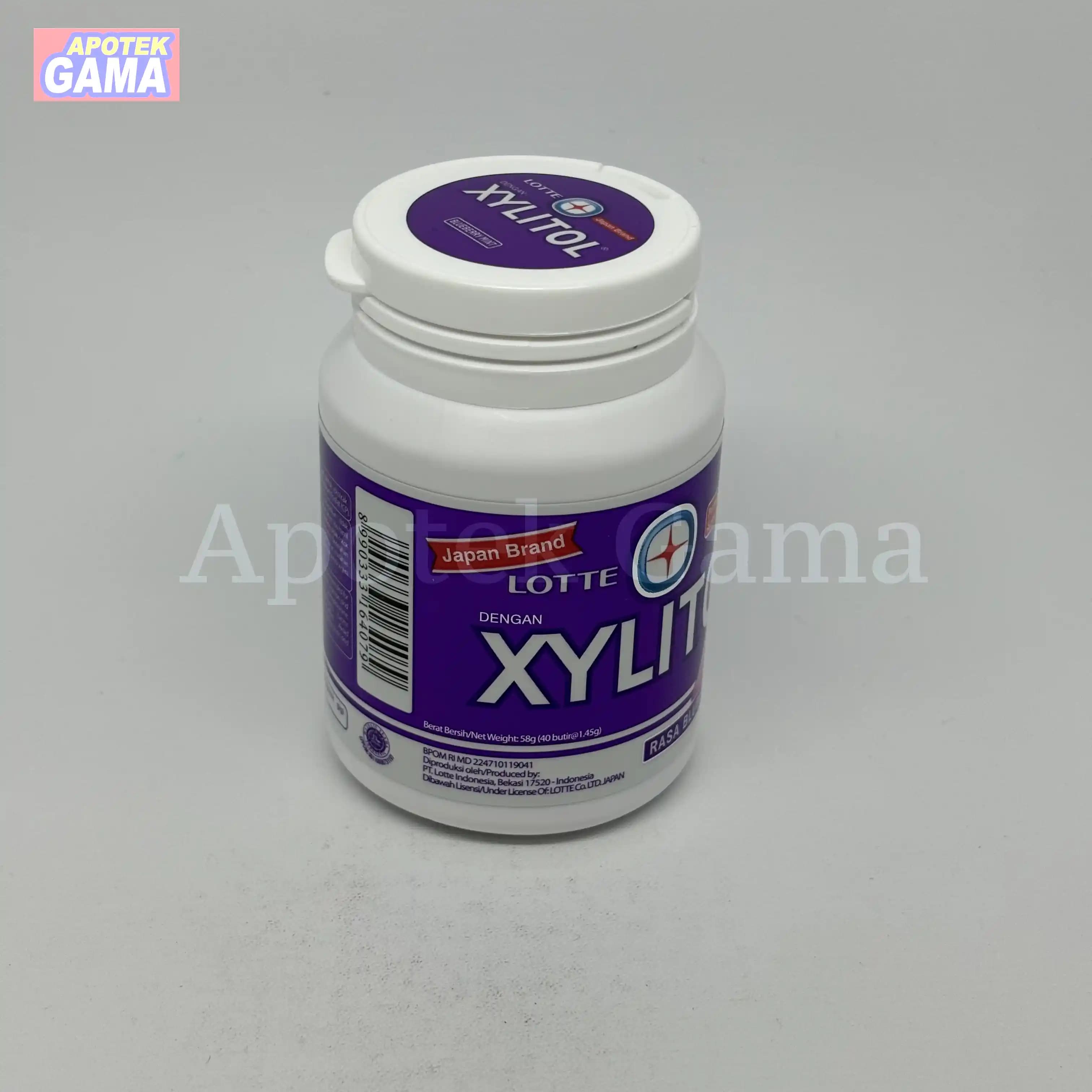 XYLITOL BLUBERI MINT 55G 3