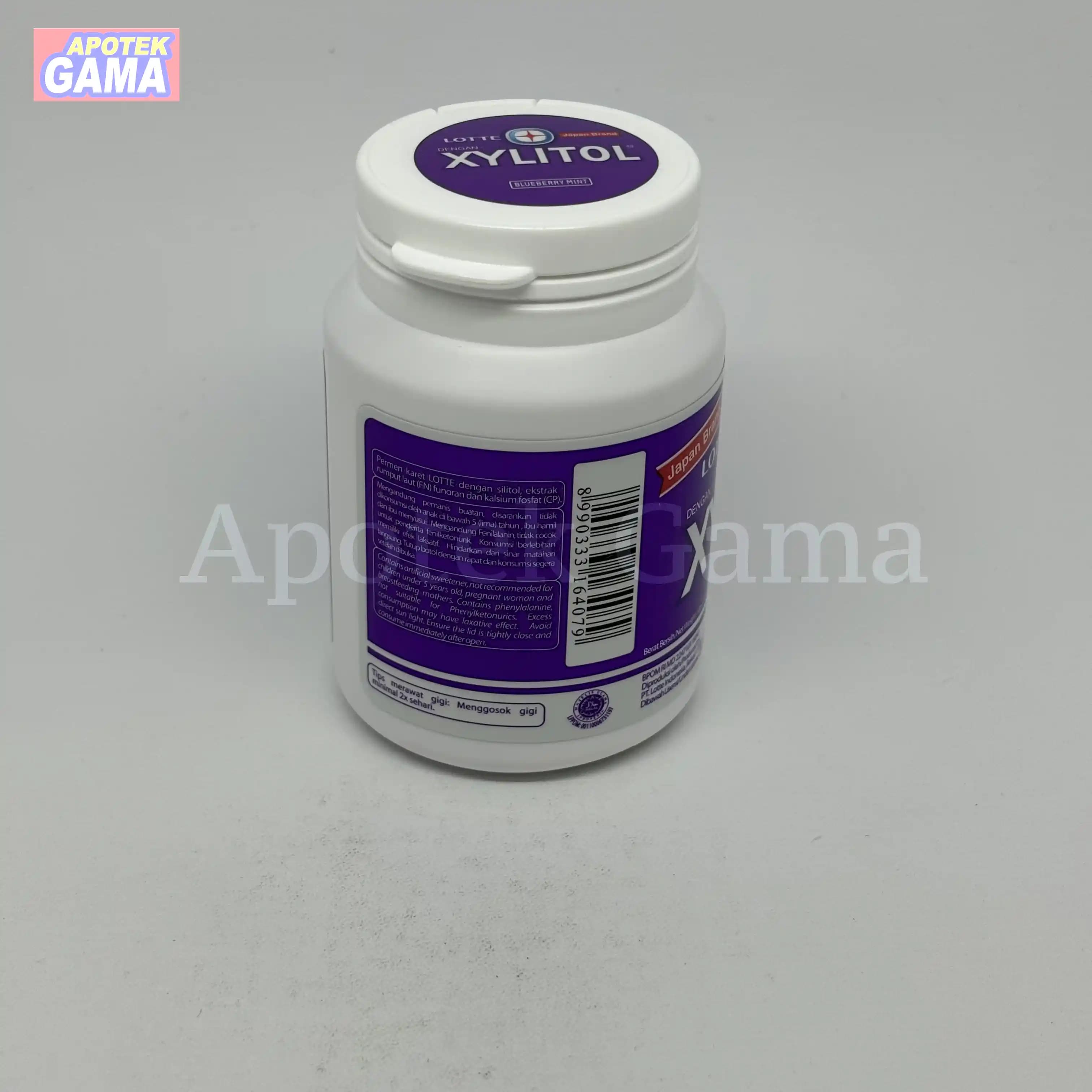 XYLITOL BLUBERI MINT 55G 4