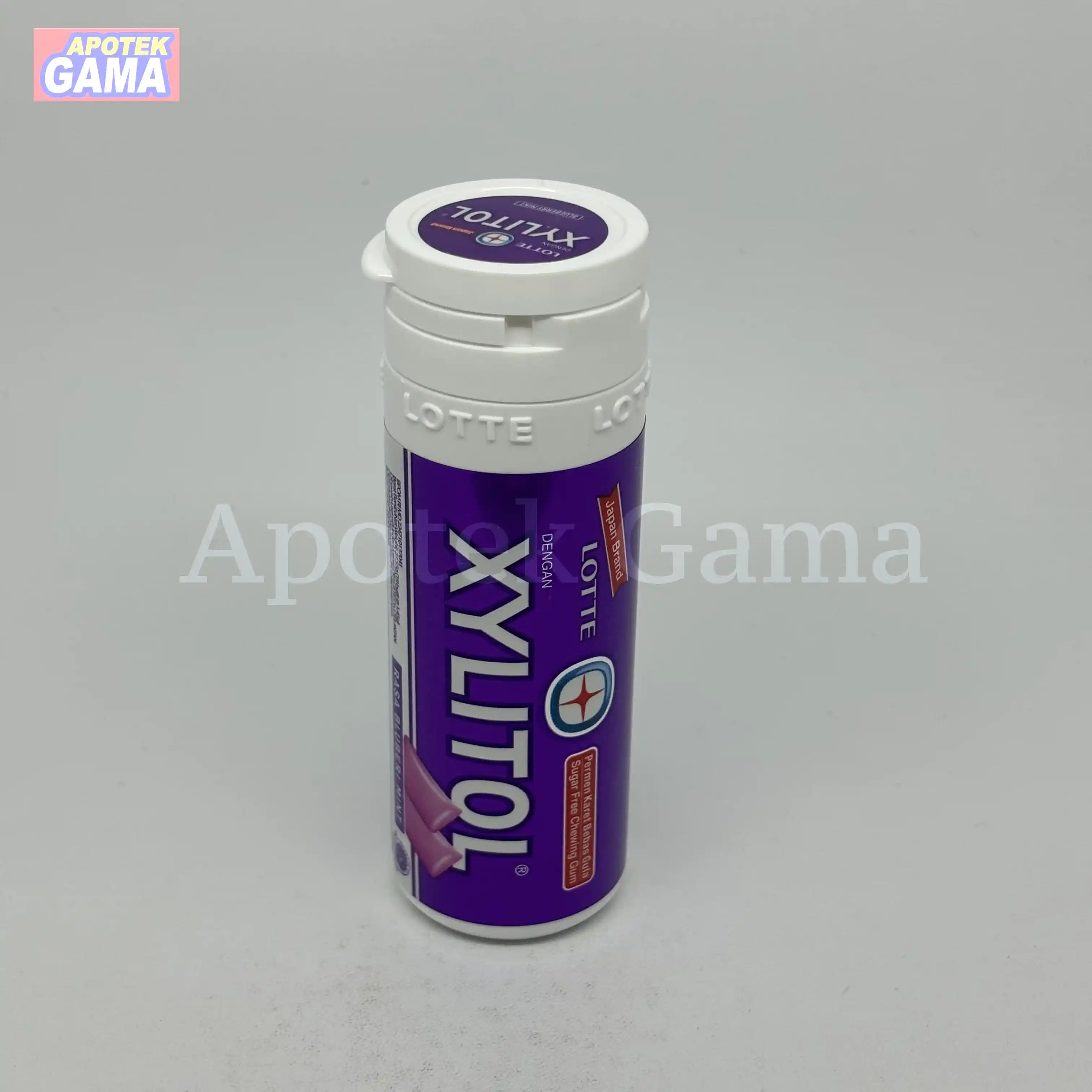 XYLITOL BLUBERI MINT 27,5G