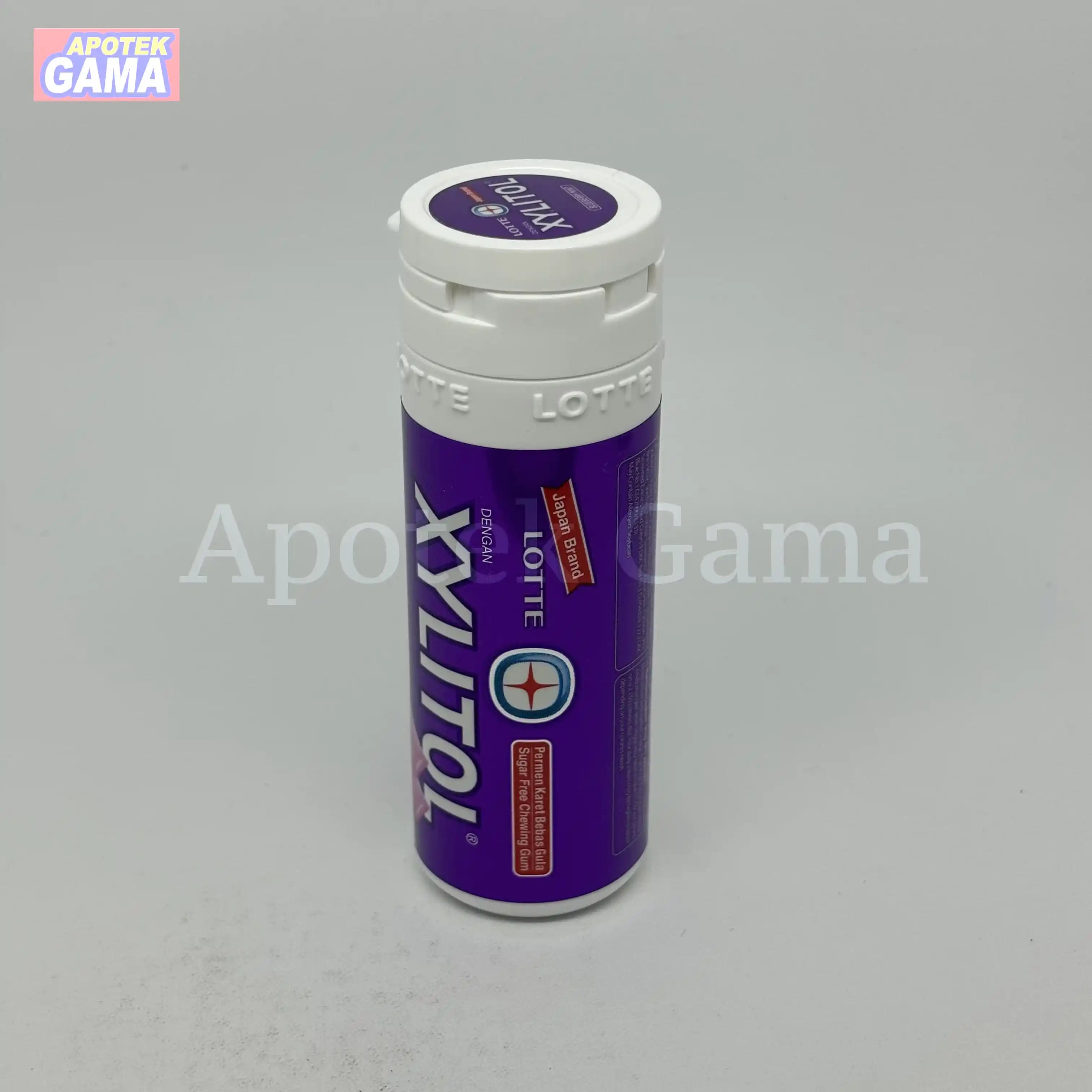 XYLITOL BLUBERI MINT 27,5G 4