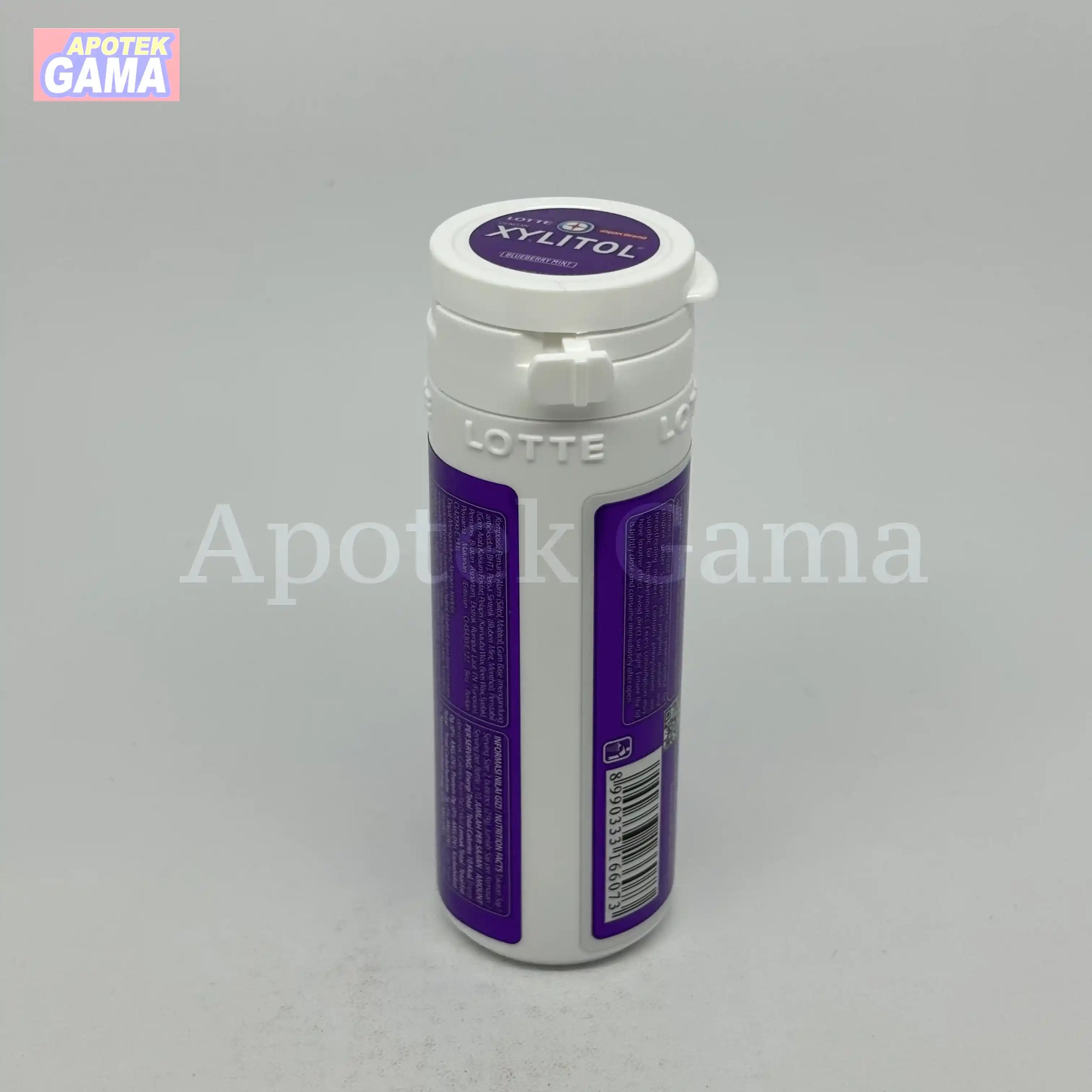 XYLITOL BLUBERI MINT 27,5G 5