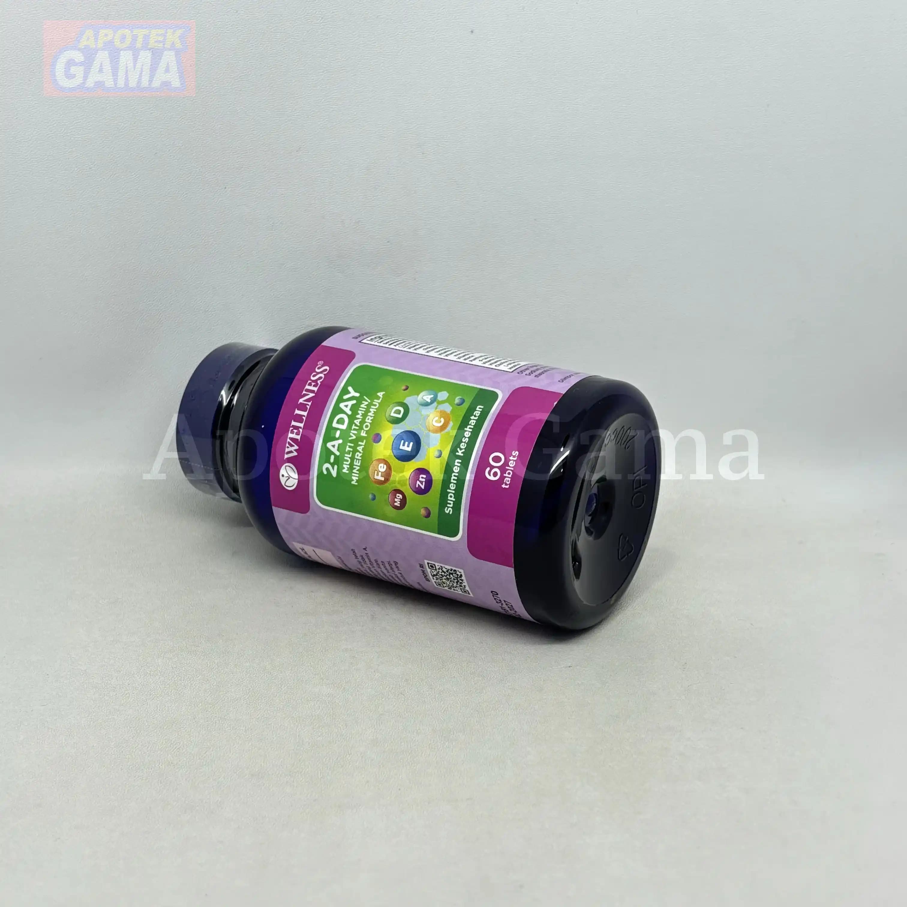 WELLNESS MULTI 2-A-DAY 60S 5