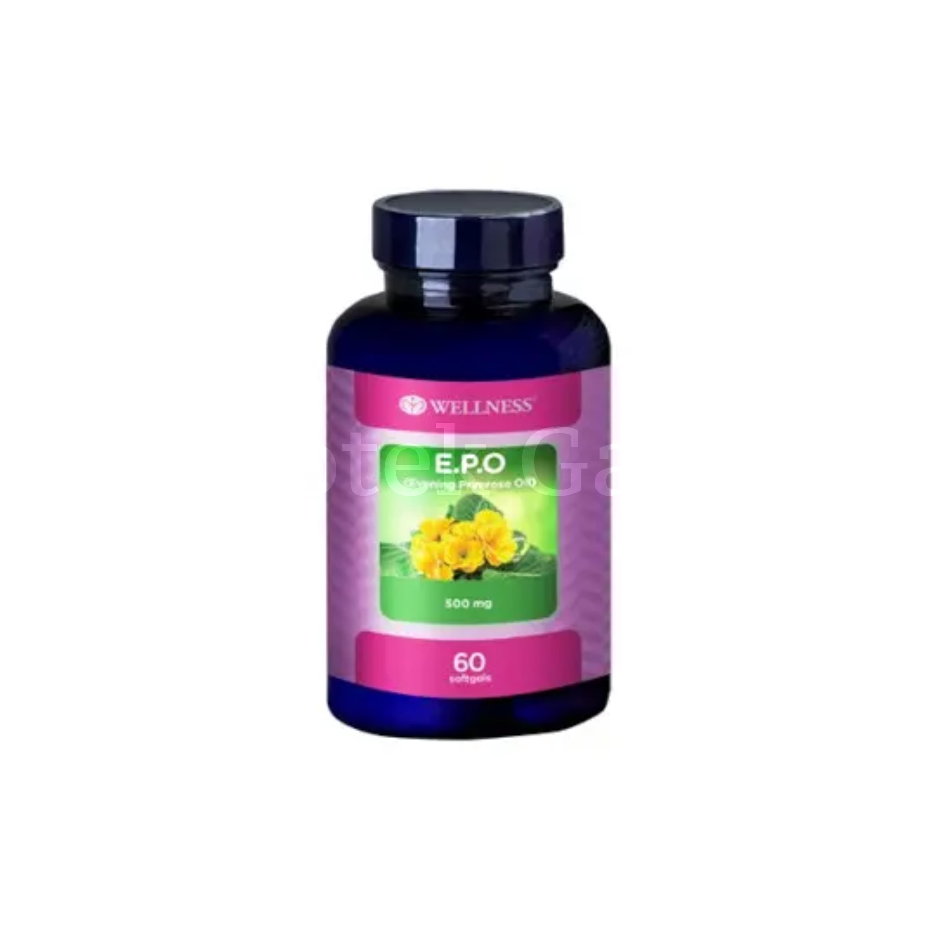 WELLNESS EPO 60S