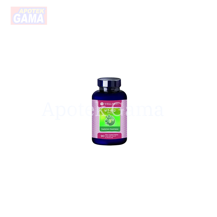 WELLNESS VIT-B12 500 MCG 90S