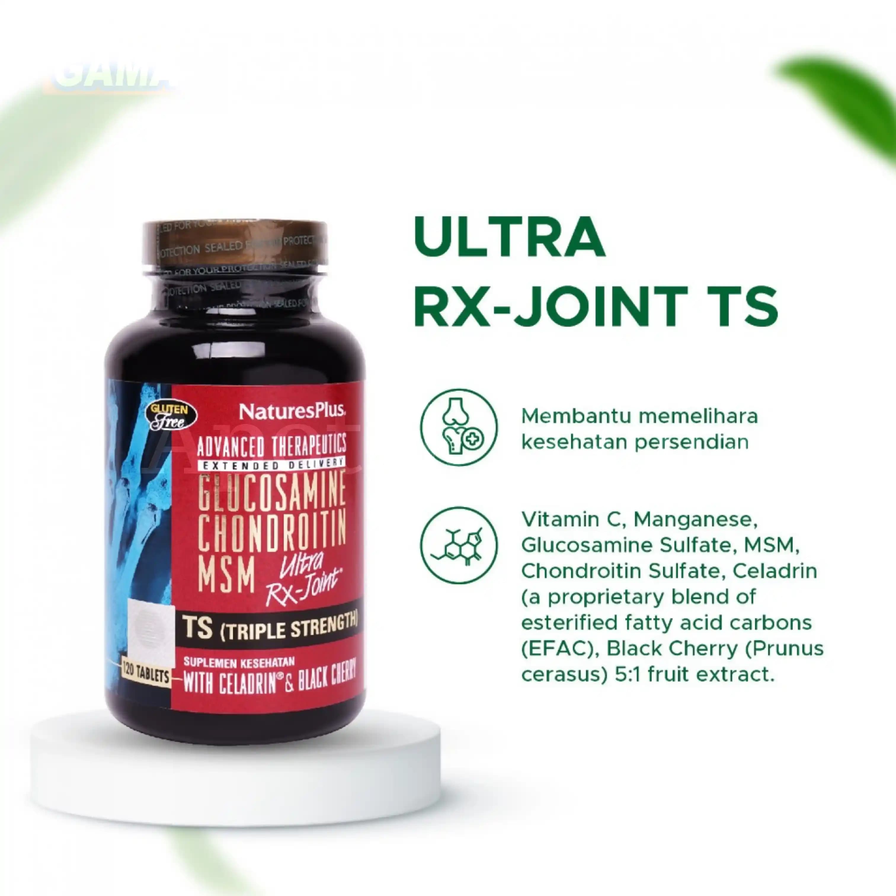 NATURES PLUS RX JOINT TRIPLETSTRENGTH 120S 2