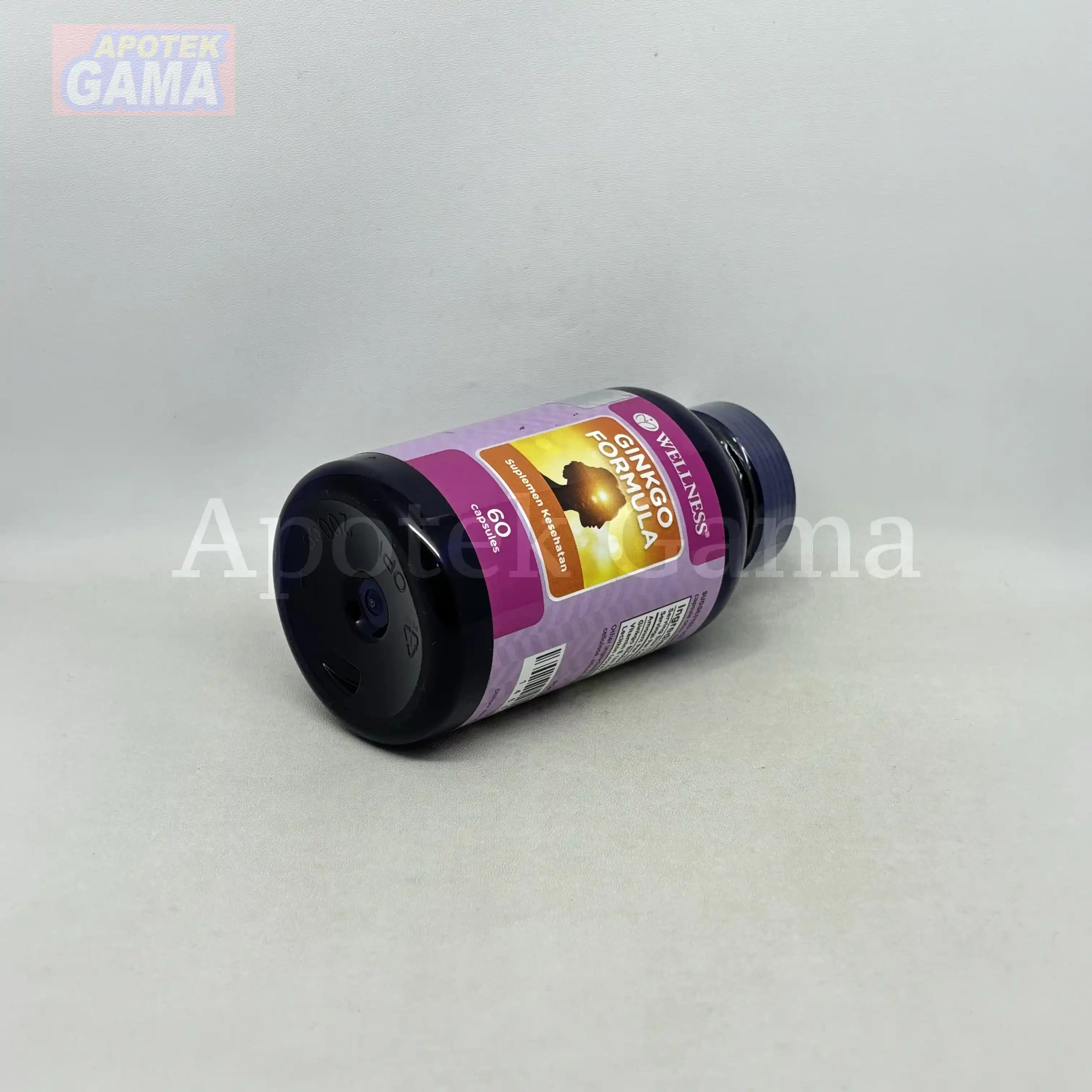 WELLNESS GINKGO FORMULA 60S