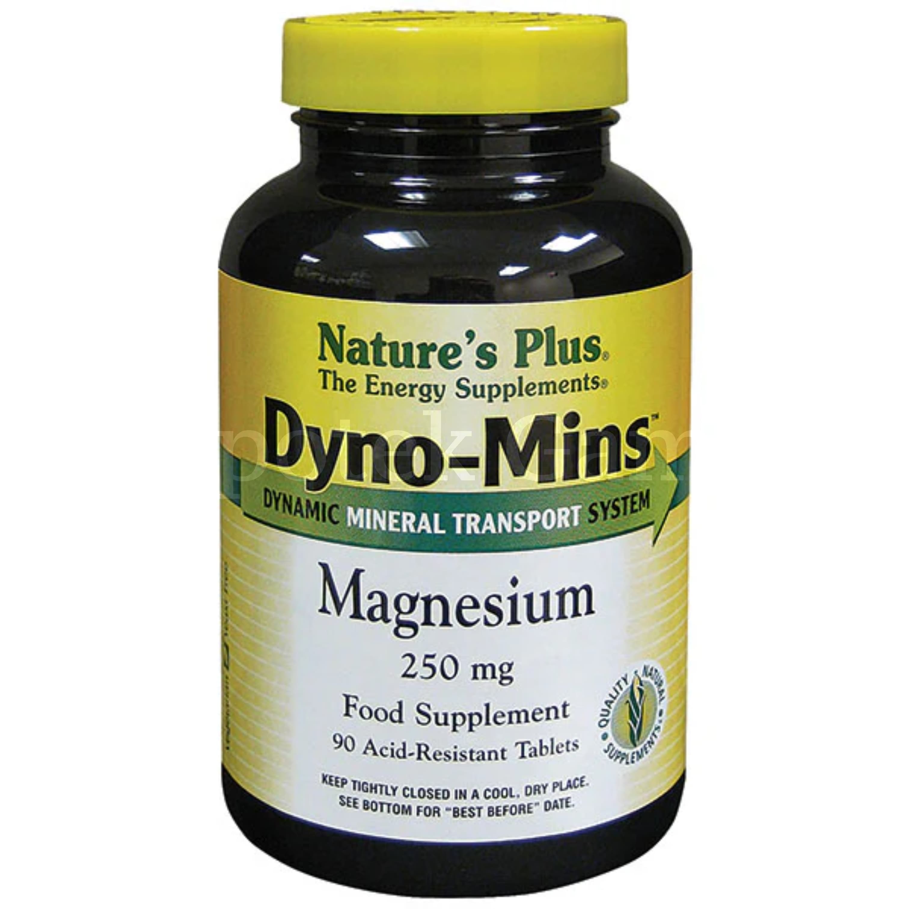 NATURES PLUS DYNO-MINS MAGNESIUM 250MG 90S 2