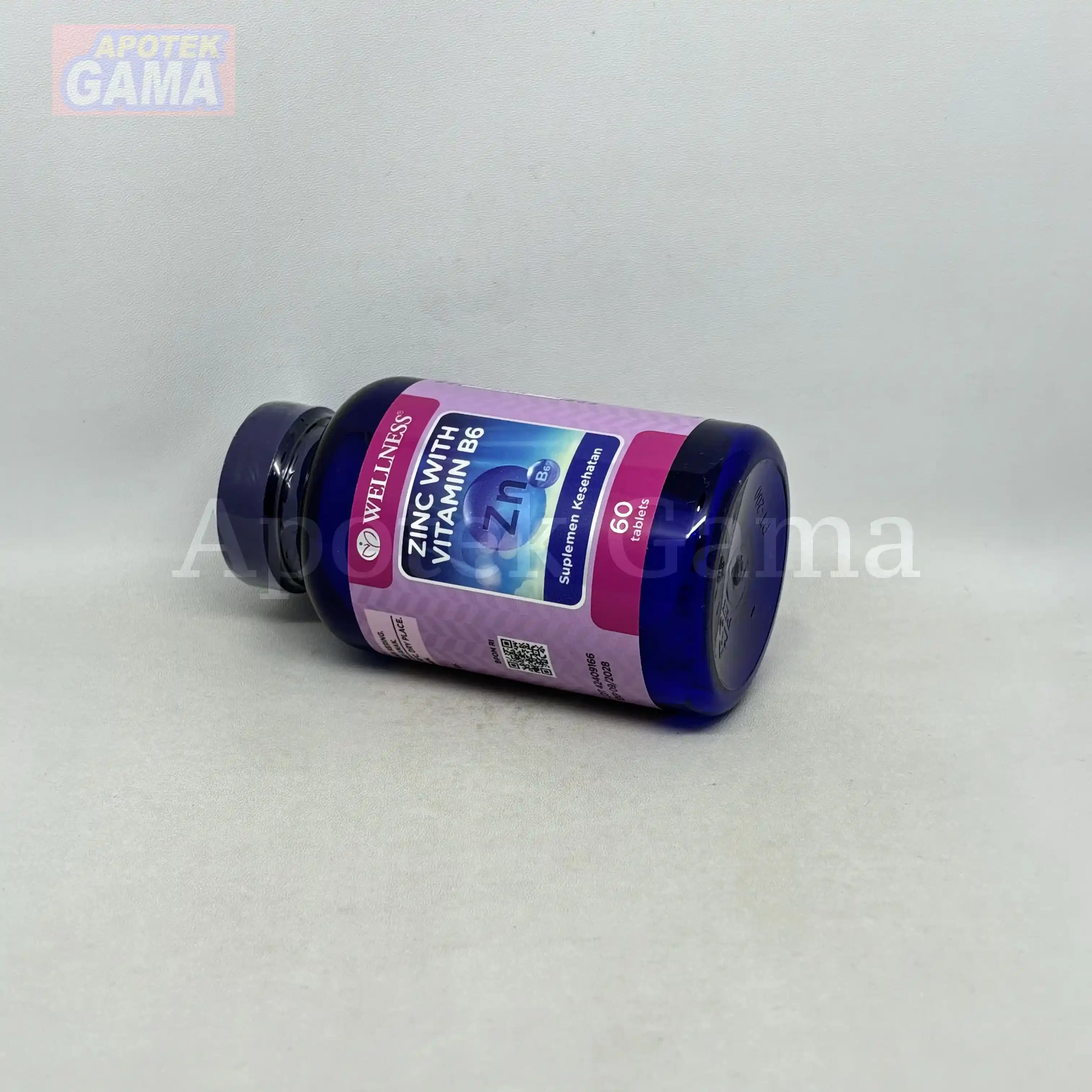 WELLNESS VIT ZINC WITH B6 60S 4