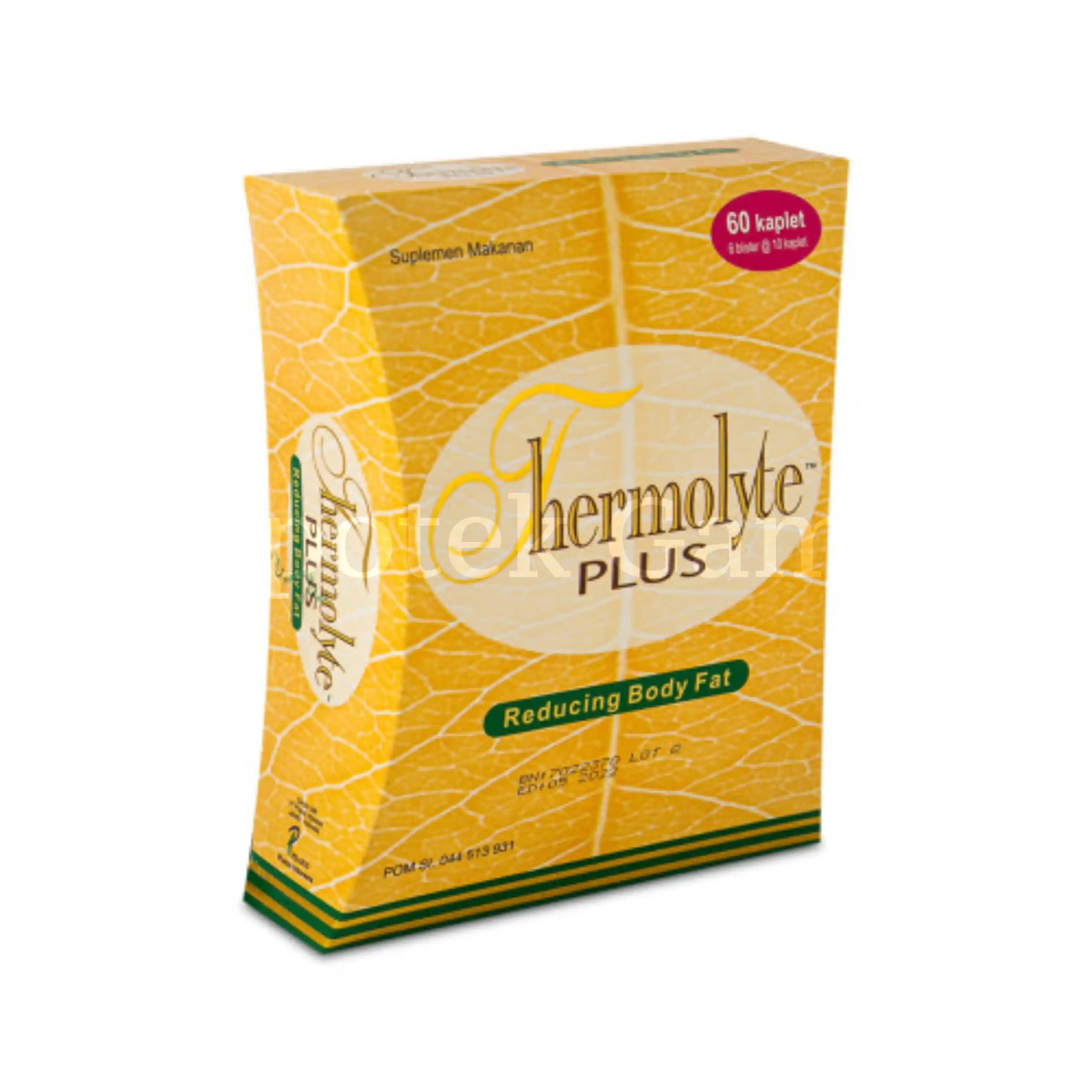 THERMOLYTE PLUS 60 S 2