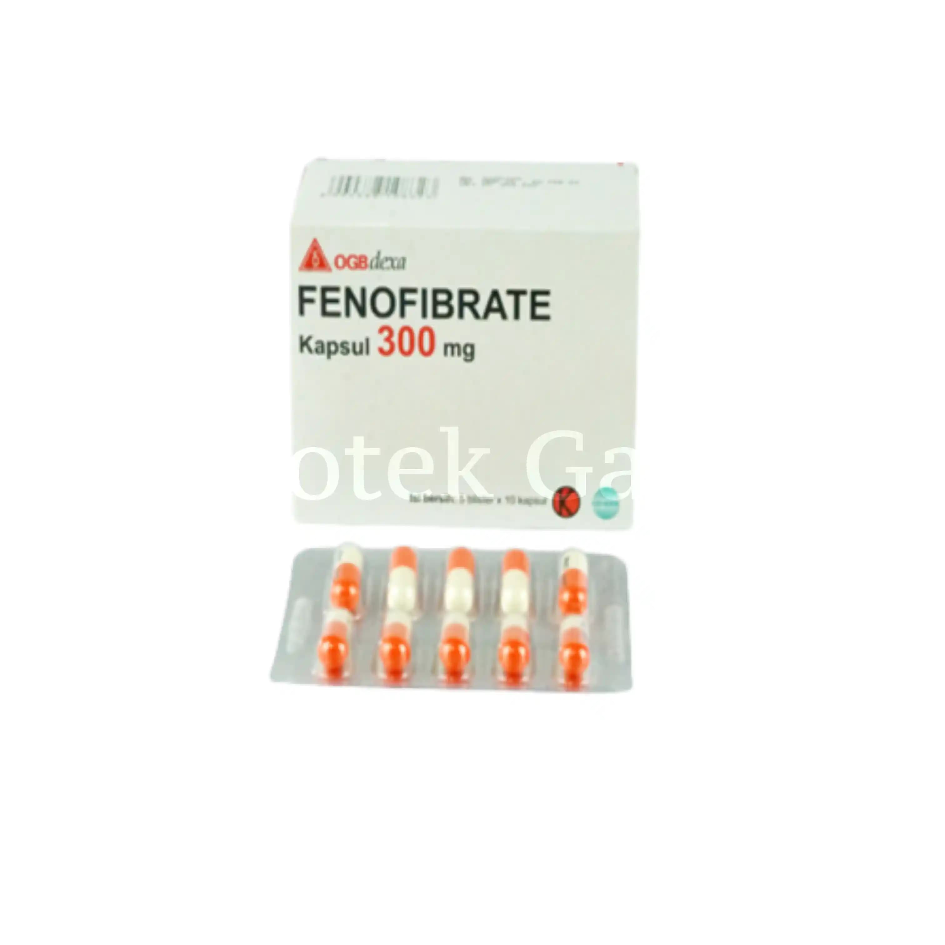 FENOFIBRATE 300 MG TABLET (GEN) HJ